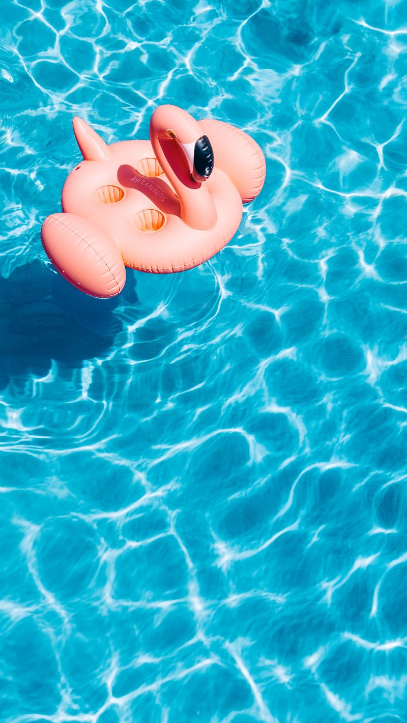 Download Wallpaper 800x1420 Pool, Water, Flamingo, Summer Iphone Se 5s 5c 5 For Parallax HD Background