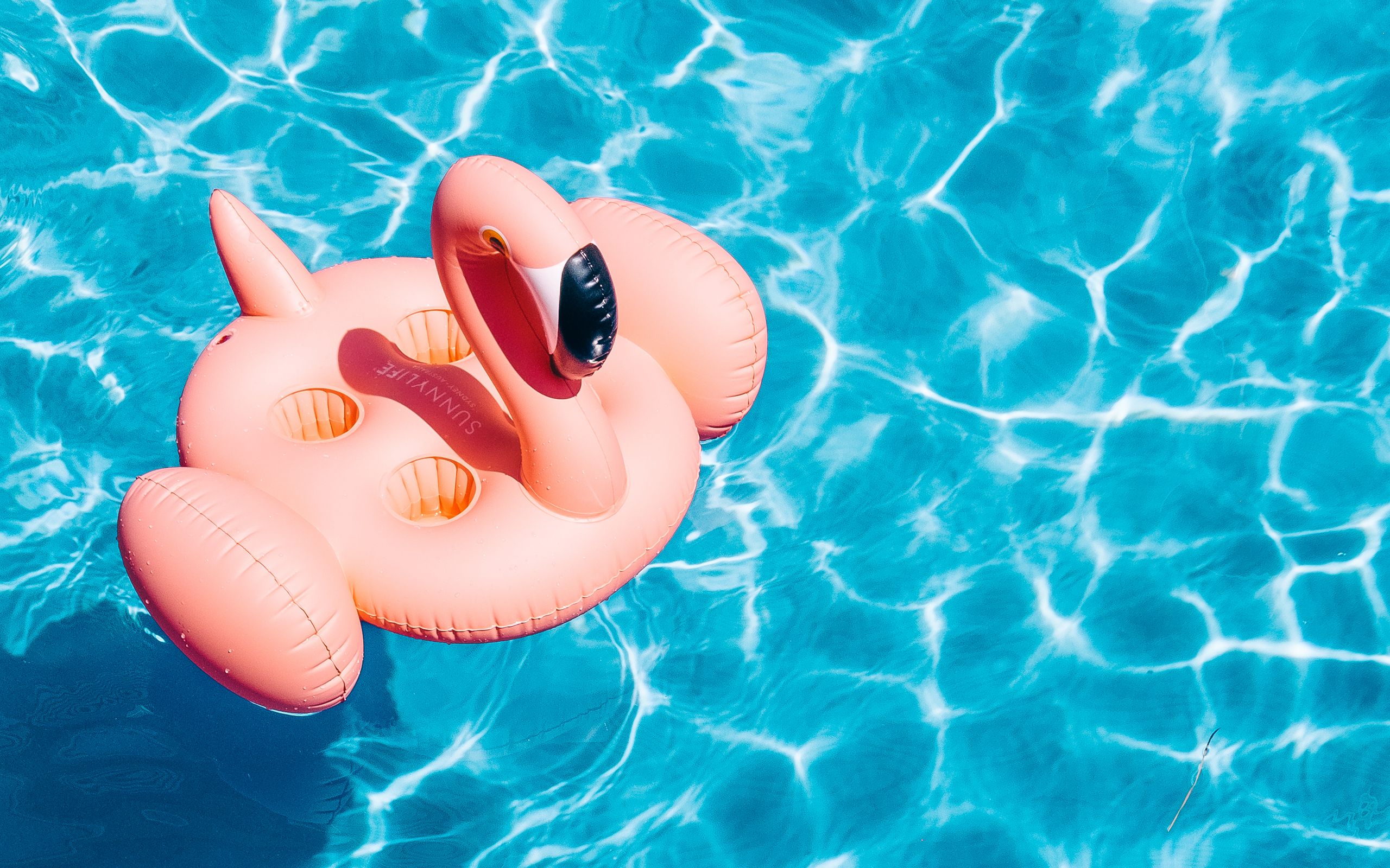 Download wallpaper 2560x1600 pool, water, flamingo, summer widescreen 16:10 HD background
