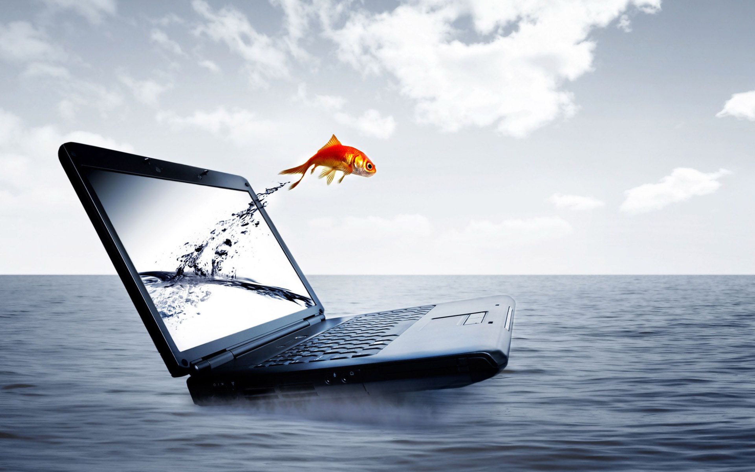 3D Laptop Gold Fish Jump Sea Wallpaper
