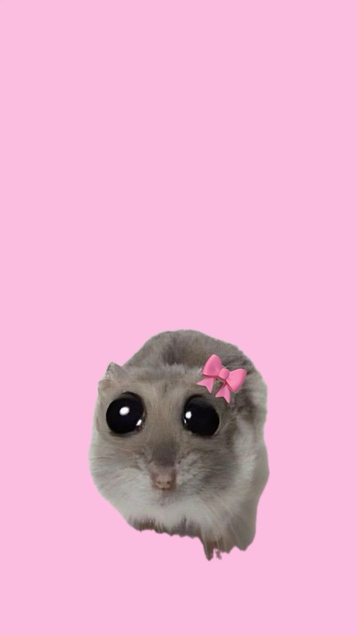 sad hamster pfp pookie hamster