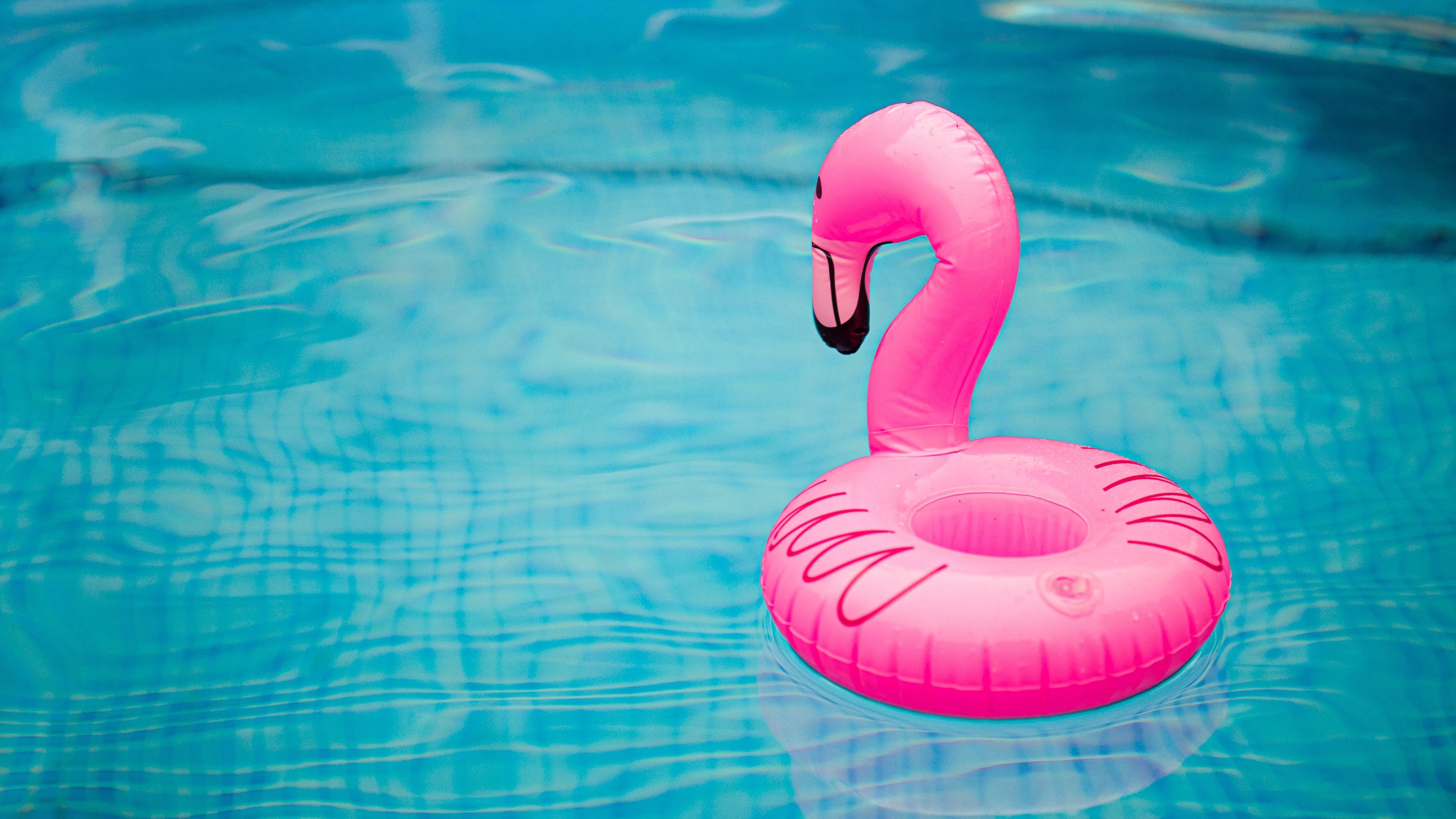 Download wallpaper 3840x2160 rubber ring, flamingo, pool, water, waves 4k uhd 16:9 HD background
