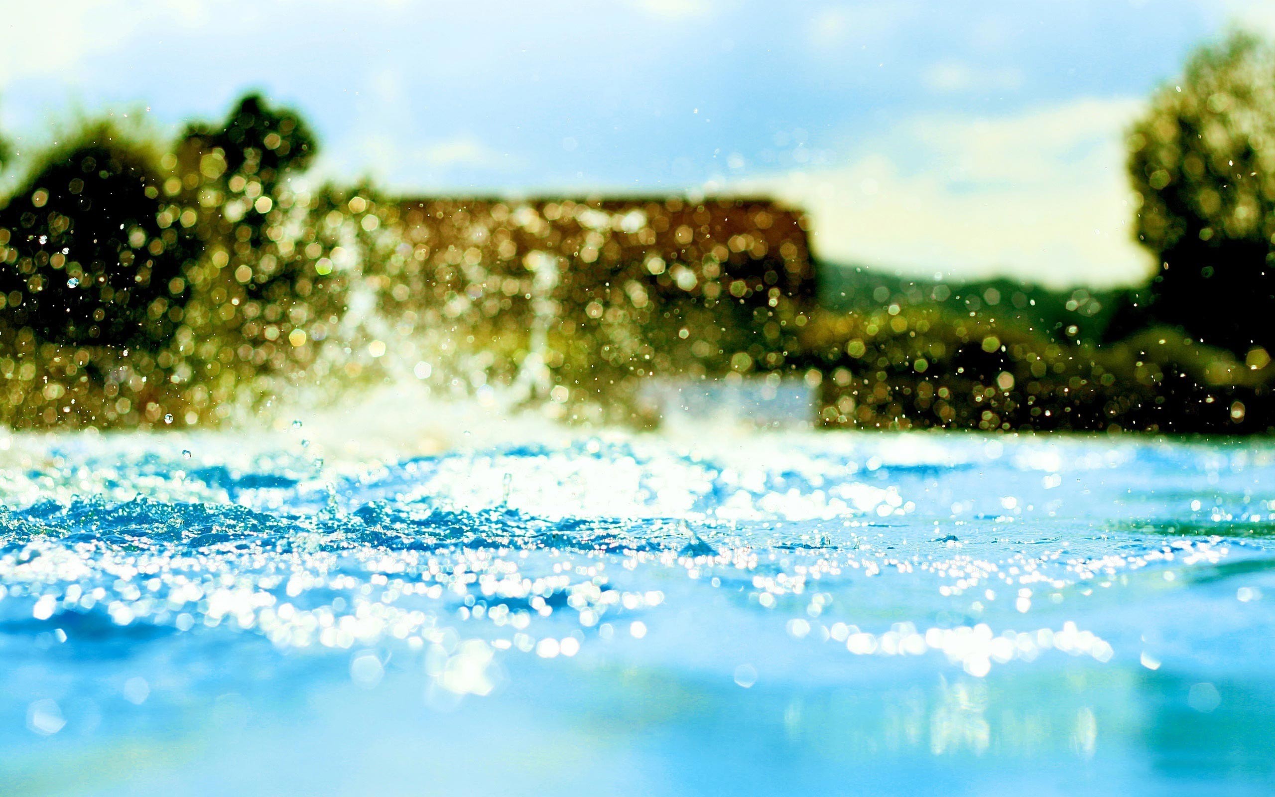 Swimming Pics For Wallpaper