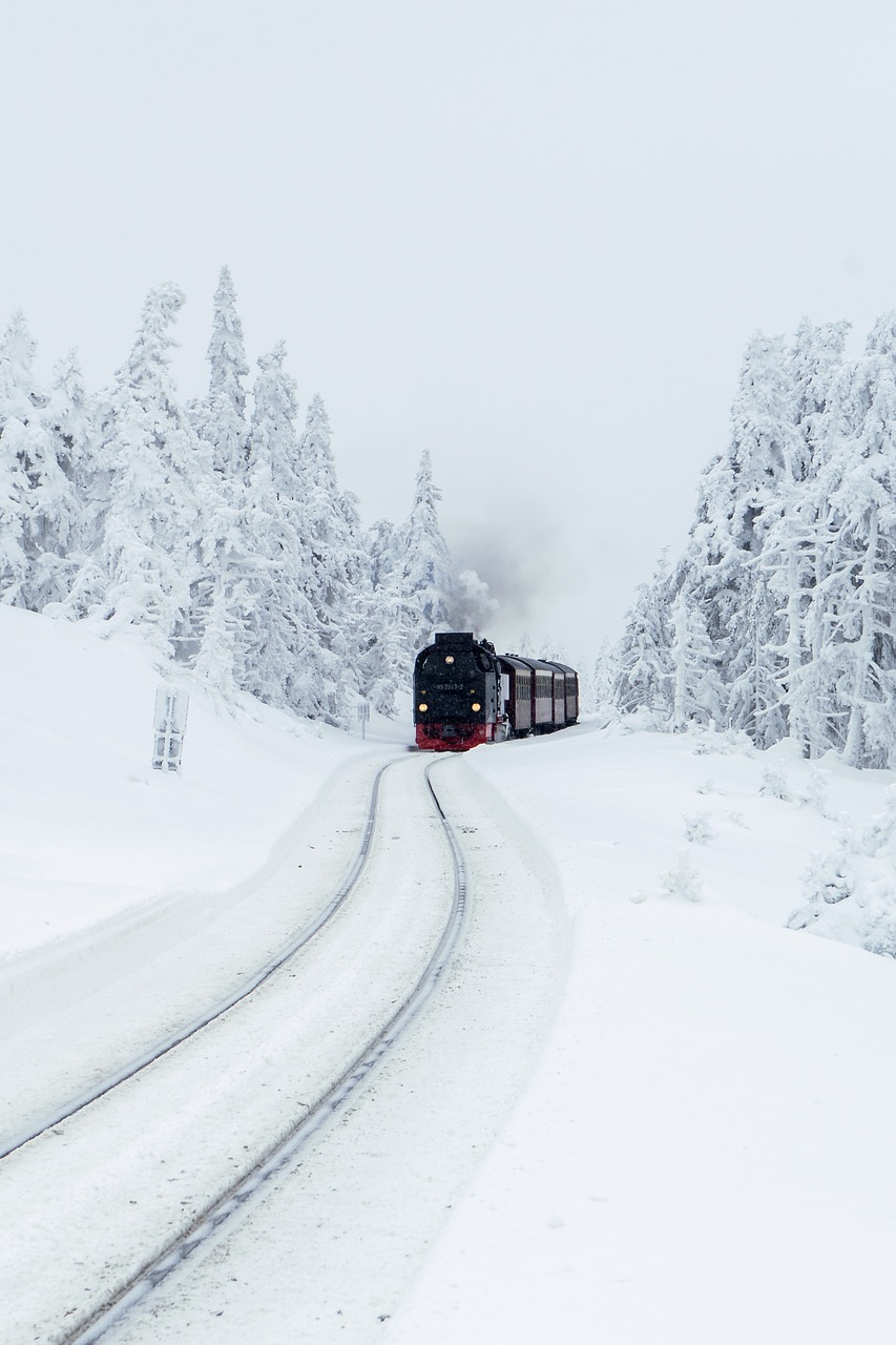 Winter Train Travel Steam