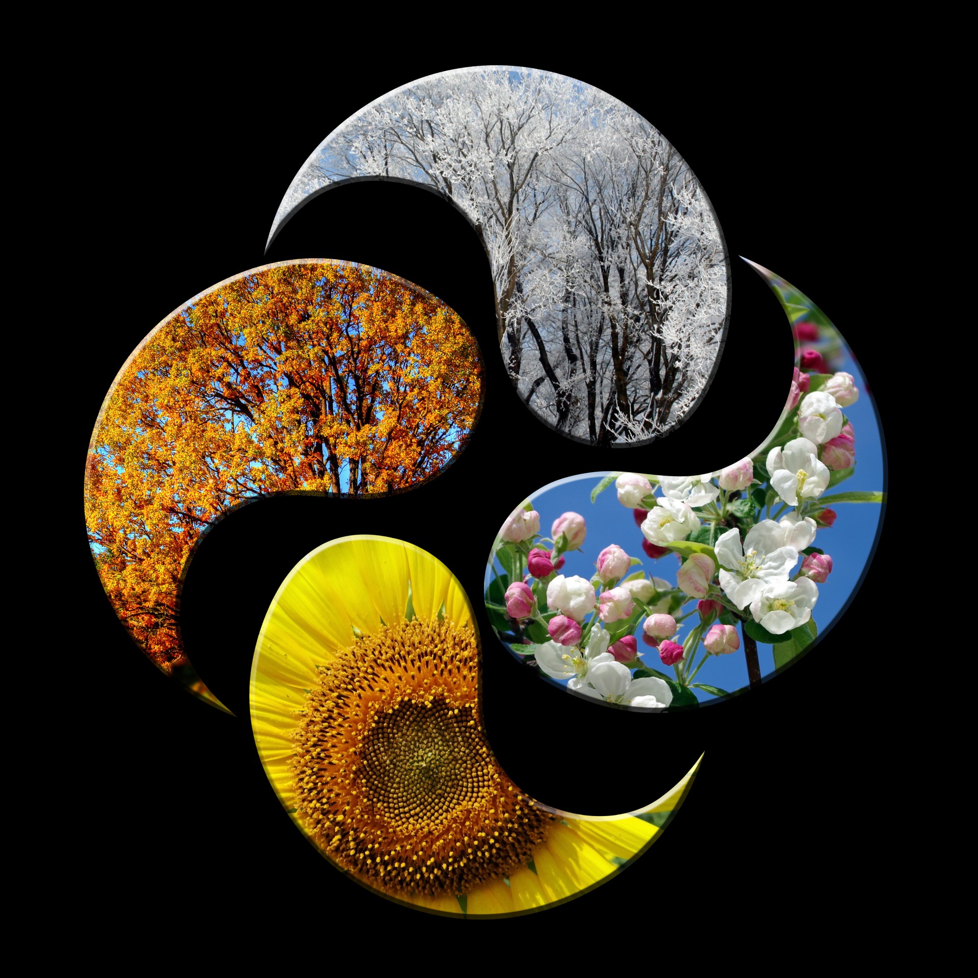 Summer Autumn Winter Spring Wallpapers - Wallpaper Cave