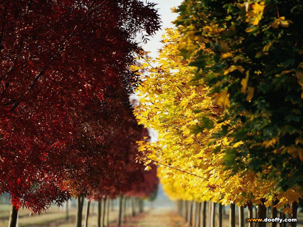 Summer Autumn Winter Spring Wallpapers - Wallpaper Cave