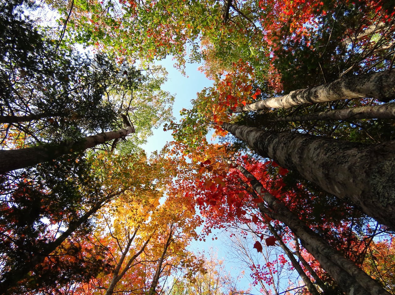 Giving thanks for autumn: Enjoy these photo from around New Brunswick