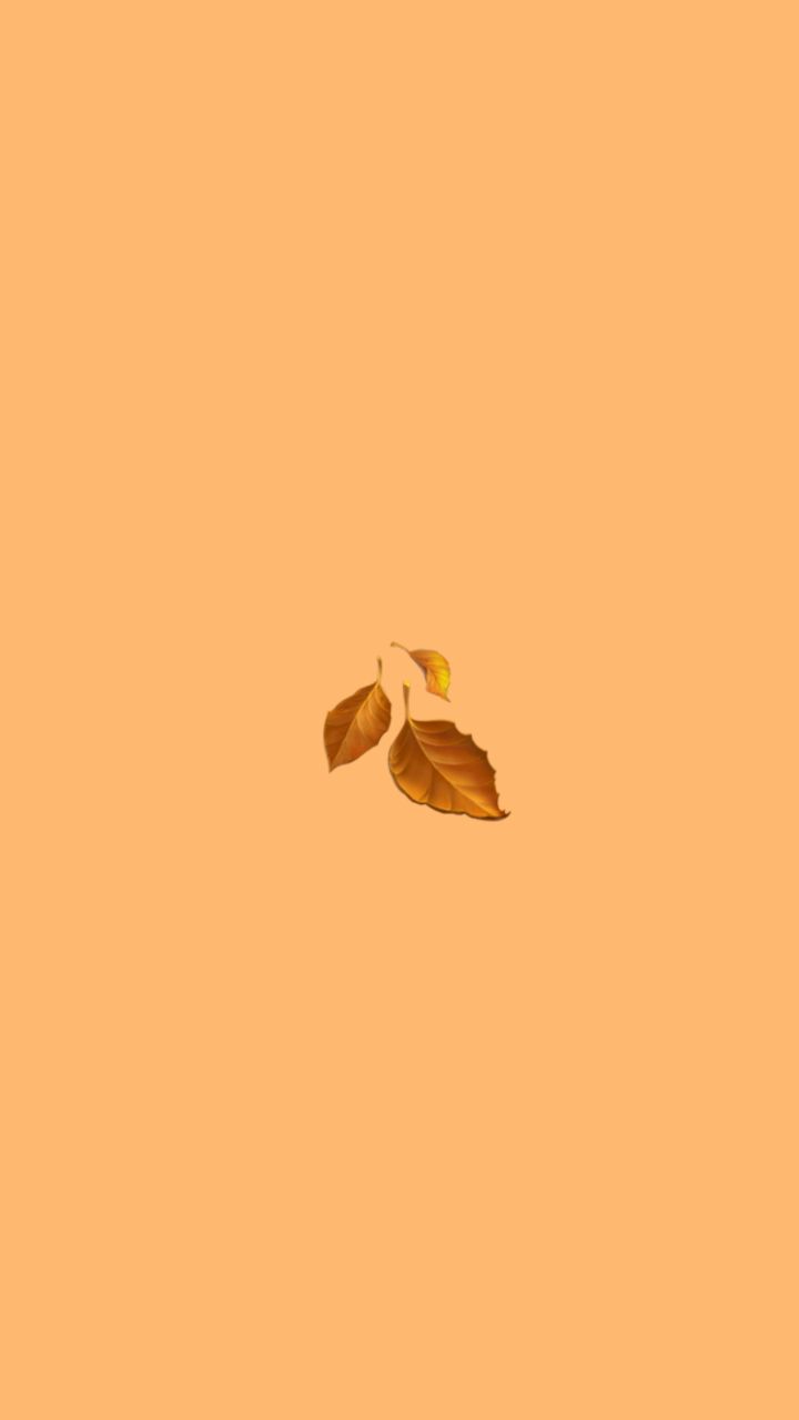 Floating Autumn Leaves on Orange Background