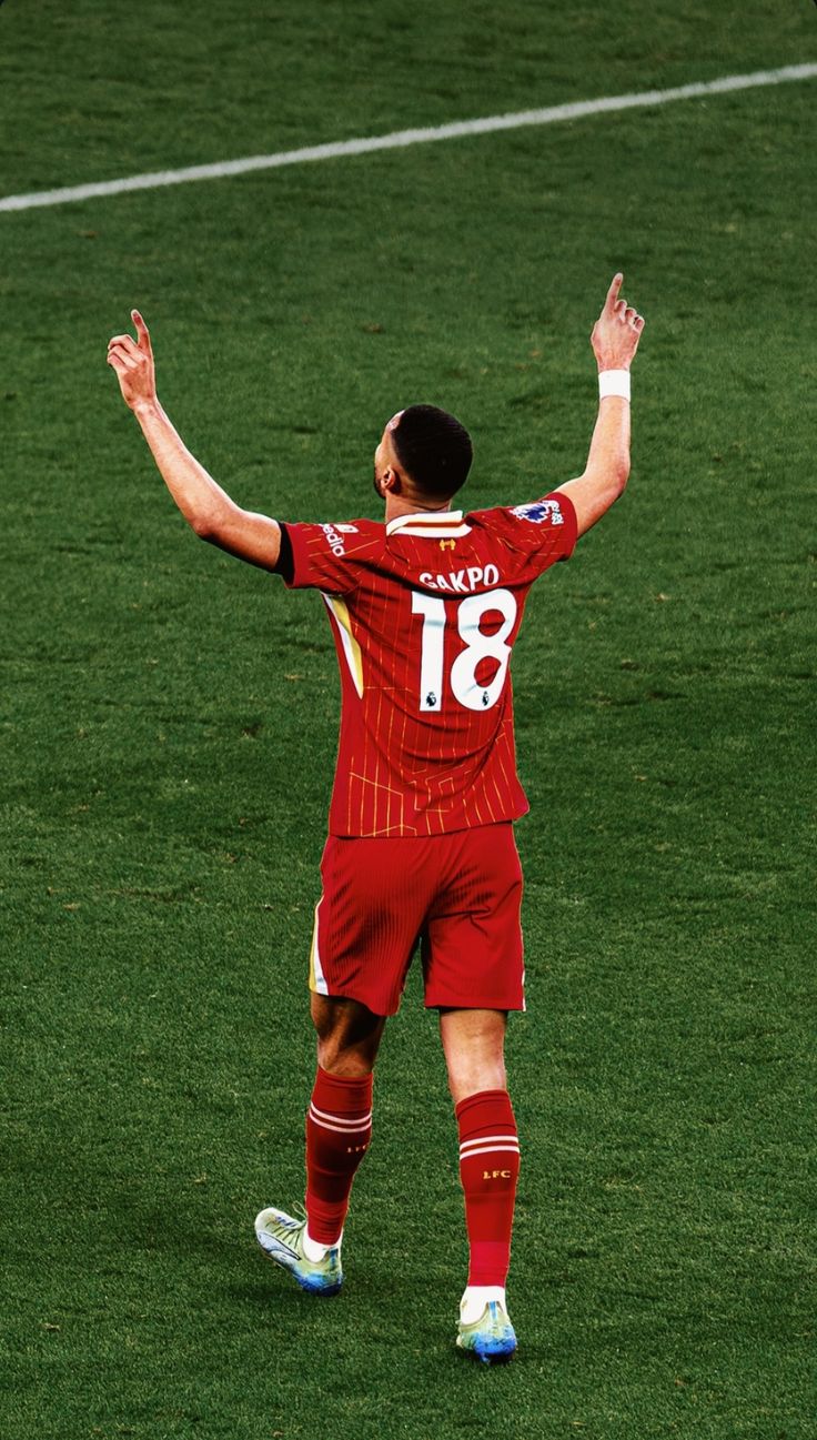 Liverpool FC wallpaper Cody gakpo