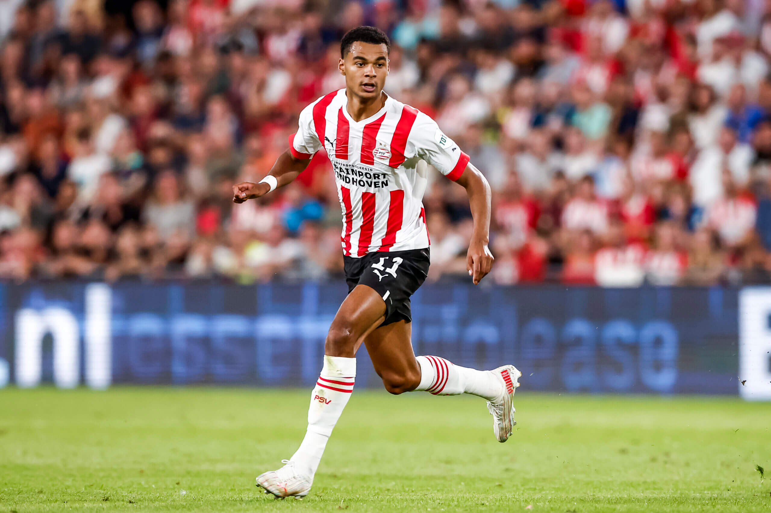 Cody Gakpo's Liverpool transfer