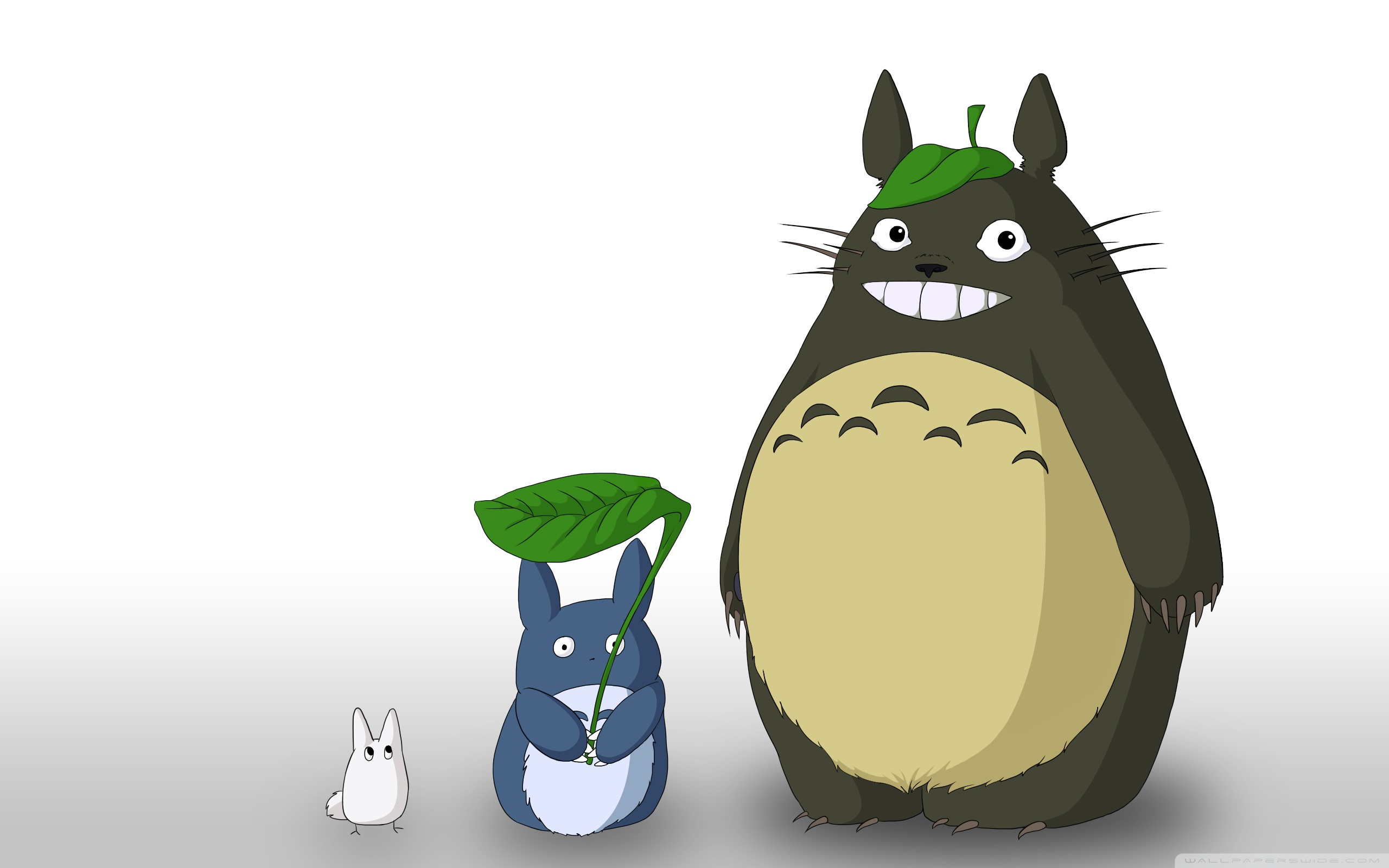 My Neighbour Totoro 4K UHD Wallpaper for UltraHD Desktop and TV, Smartphone and Tablet Devices