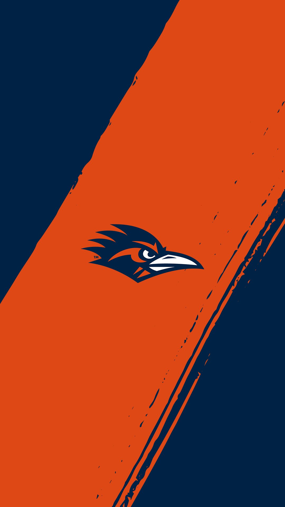 UTSA Athletics for a better wallpaper for your phone? We have you covered. #BirdsUp