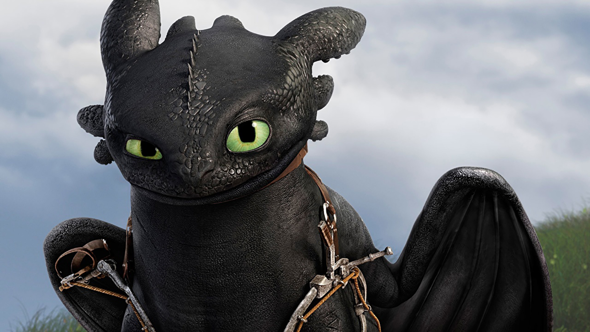 How To Train Your Dragon Black Dragon HD Cartoon Wallpaper
