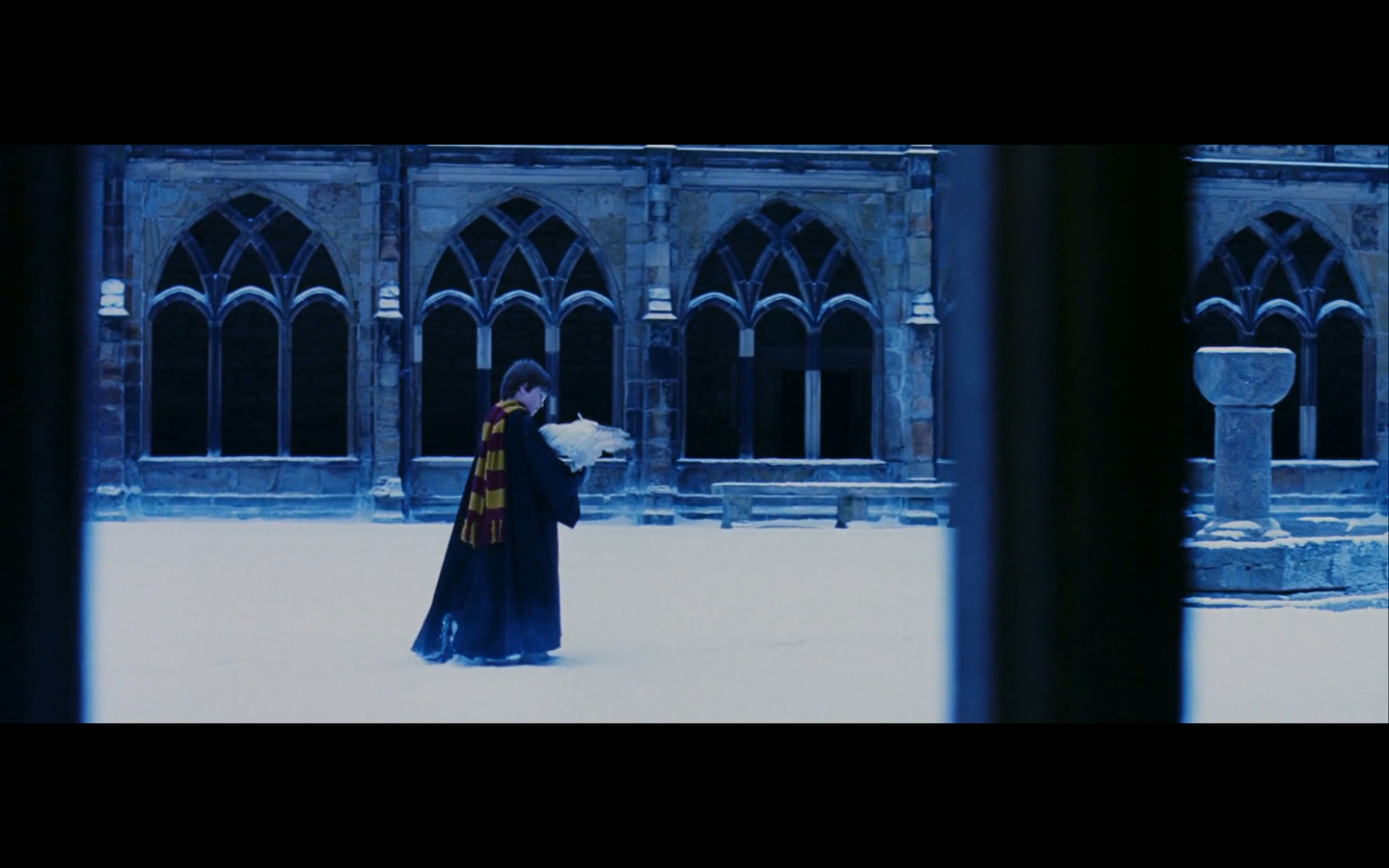 Fun with Franchises: Favorite Image from Harry Potter and the Sorcerer's Stone. B+ Movie Blog