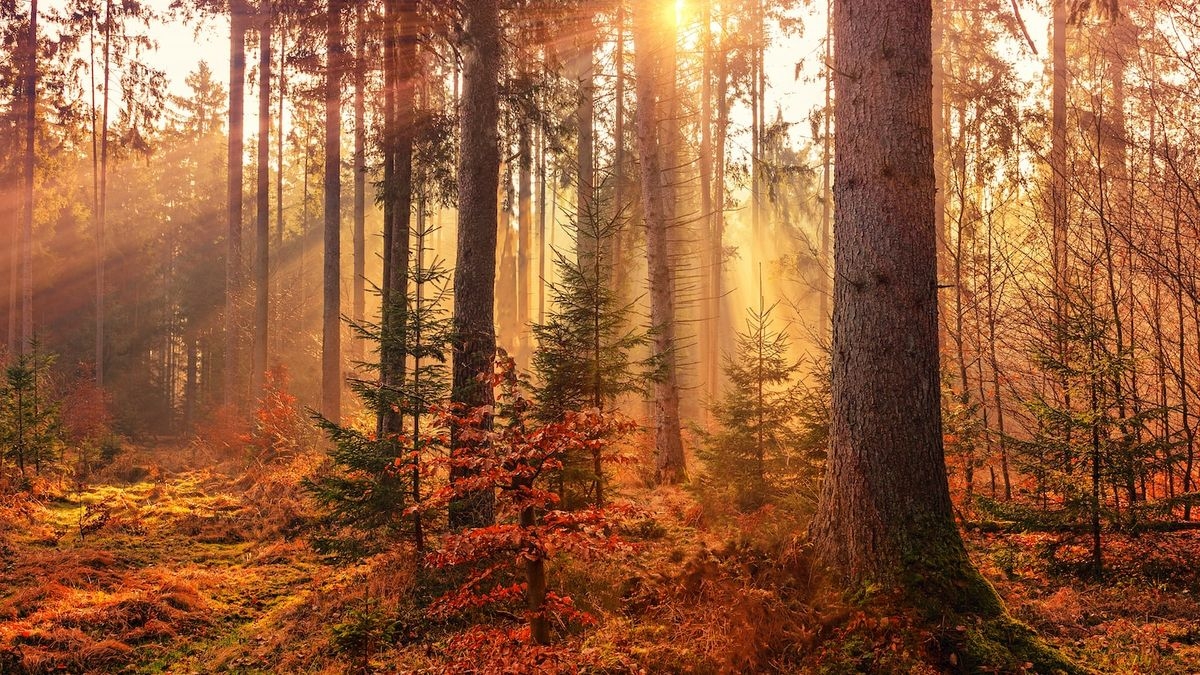 A Guide to the Best Autumn Fall Viewpoints in Canada