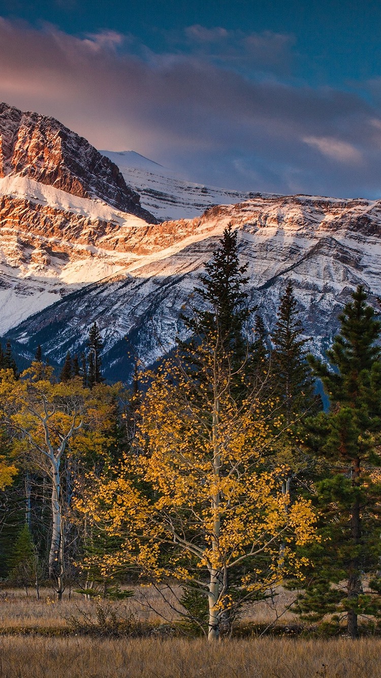 Canada, Albert, Mountains, Trees, Clouds, Autumn 750x1334 IPhone 8 7 6 6S Wallpaper, Background, Picture, Image