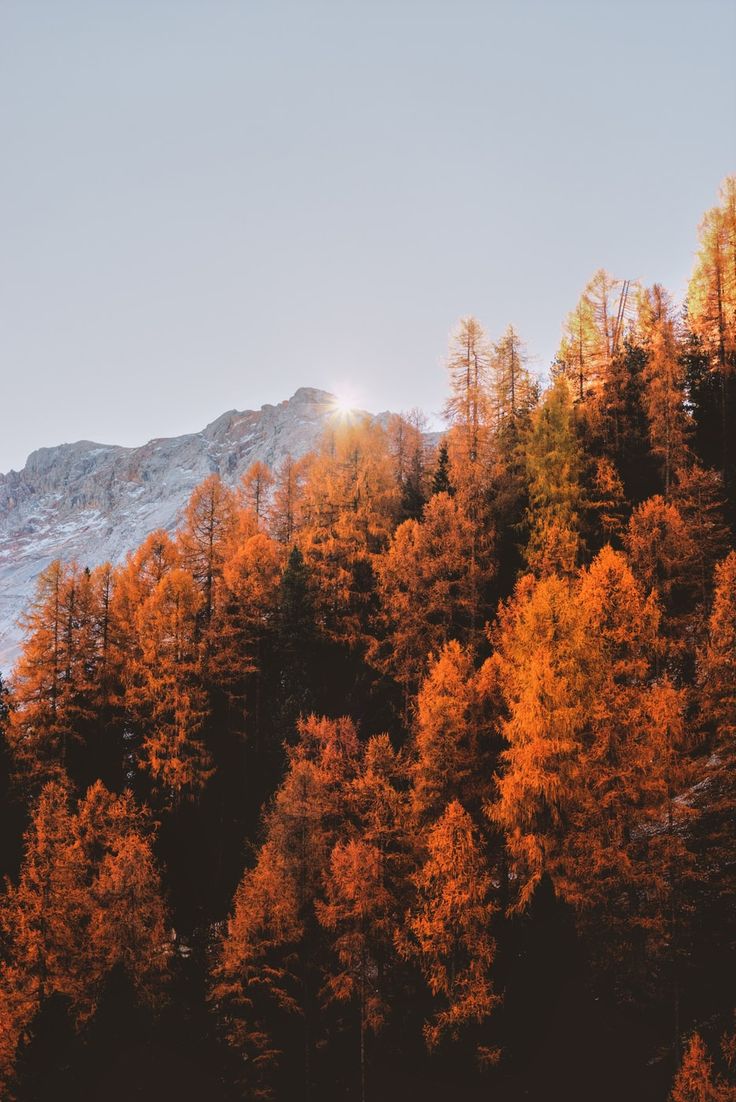Best Canadian Destinations to Travel to in the Fall