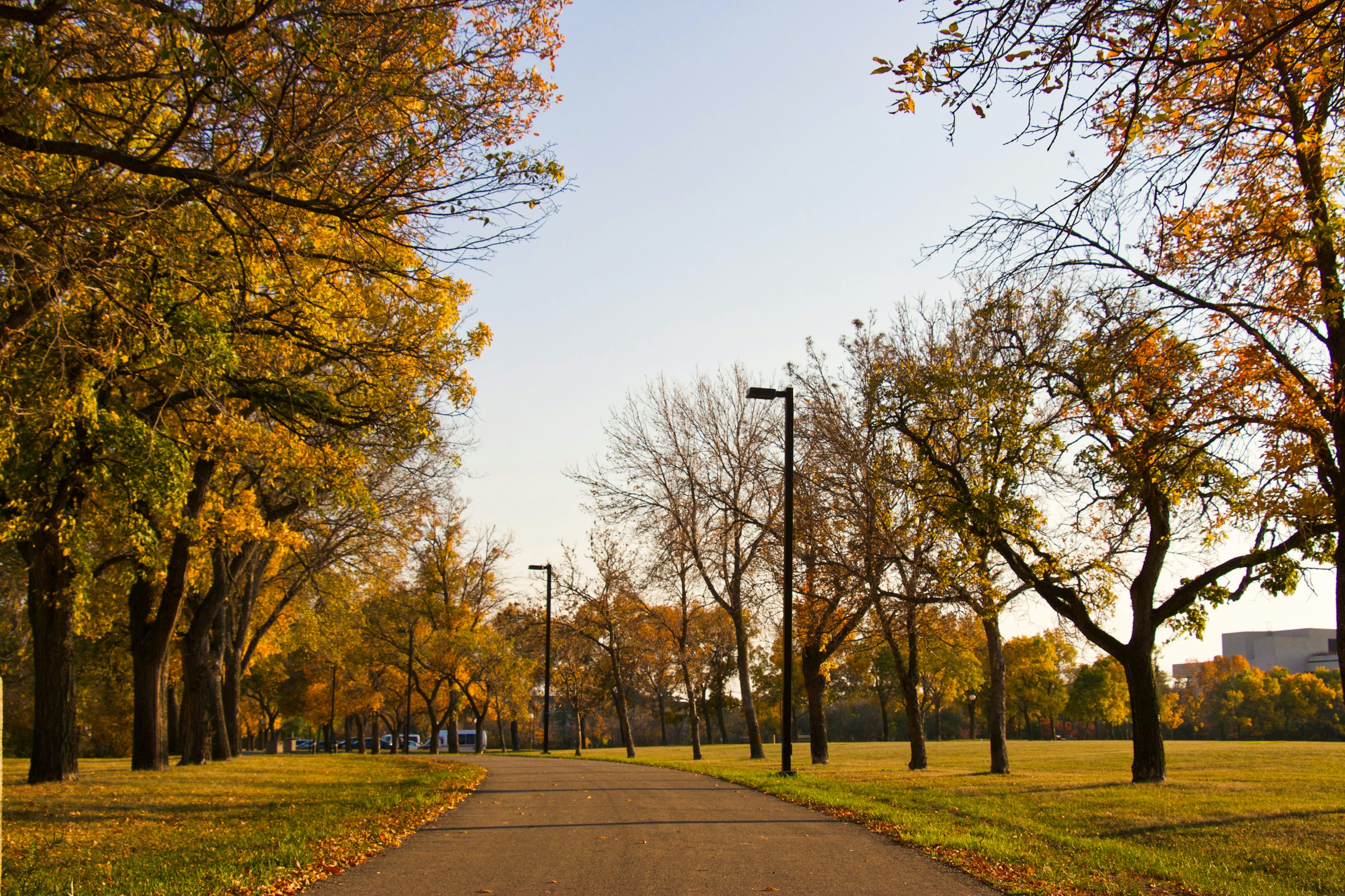 Canada Autumn Picture. Download Free Image
