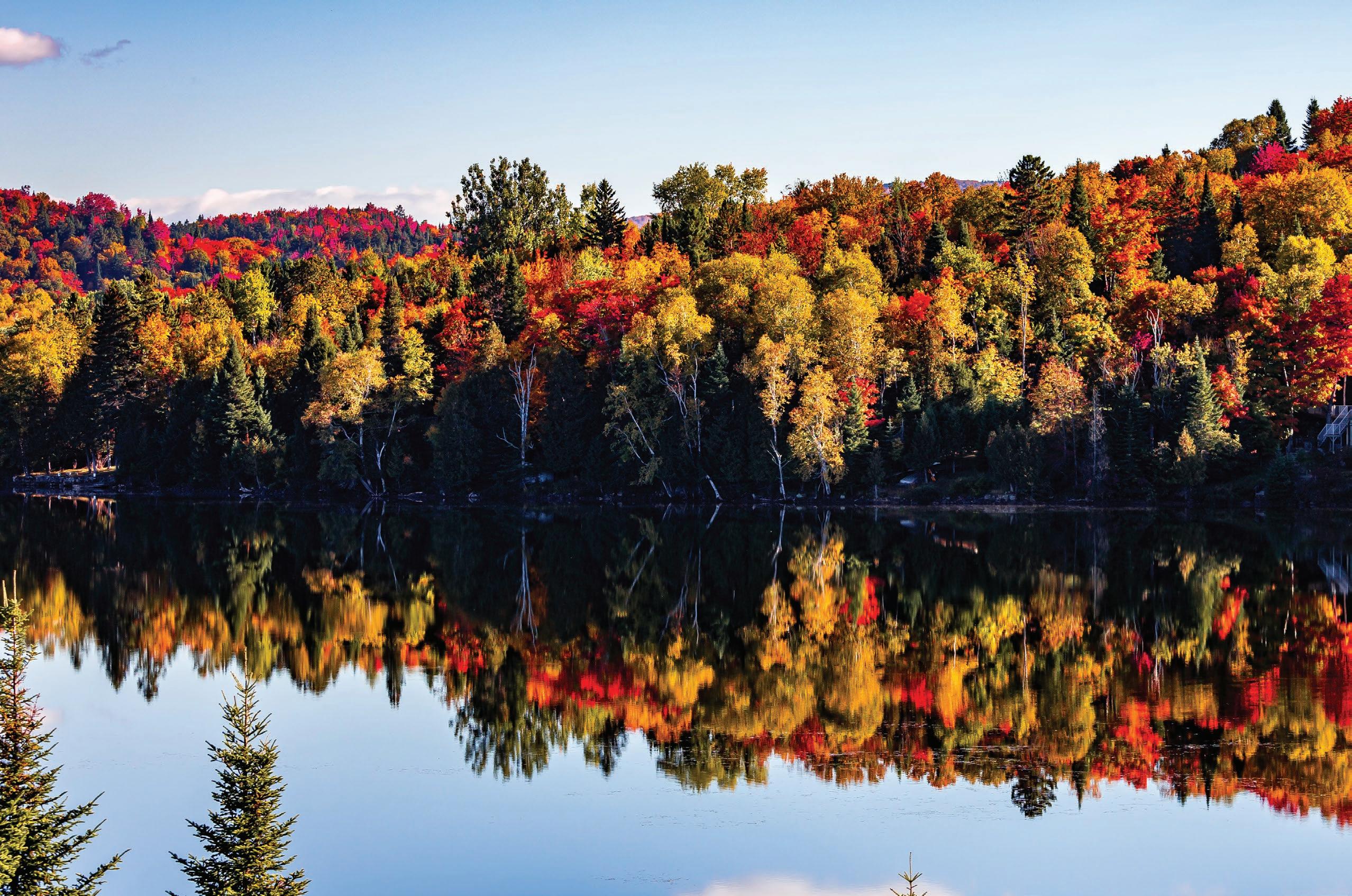 Autumn Colours