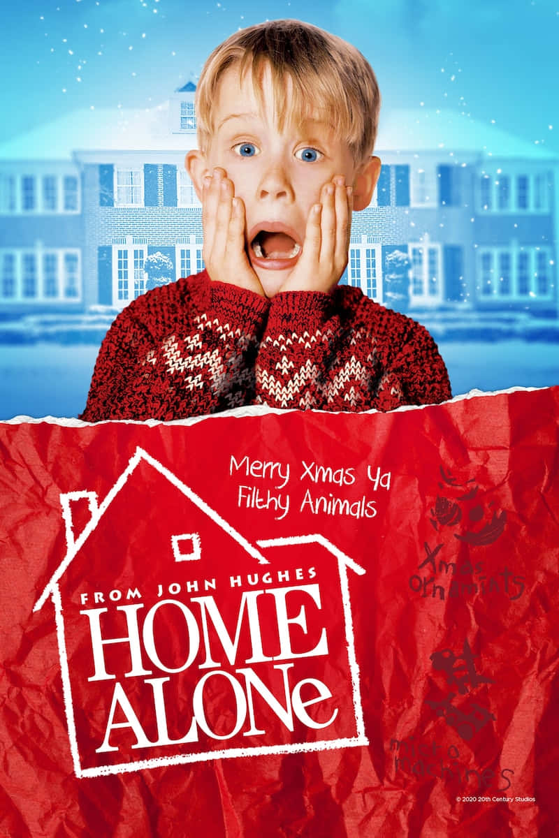 Download Home Alone Movie Poster Picture
