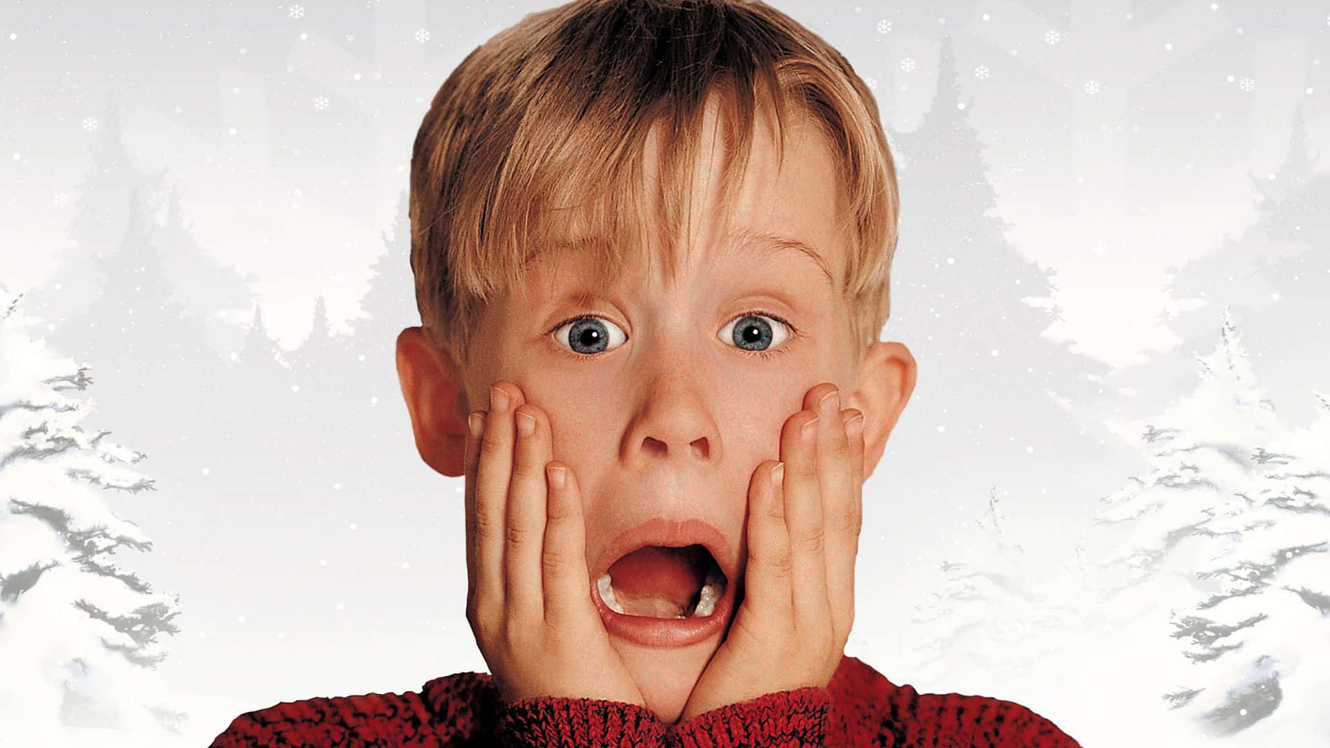 Download A Zoom background inspired by the classic Christmas movie Home Alone