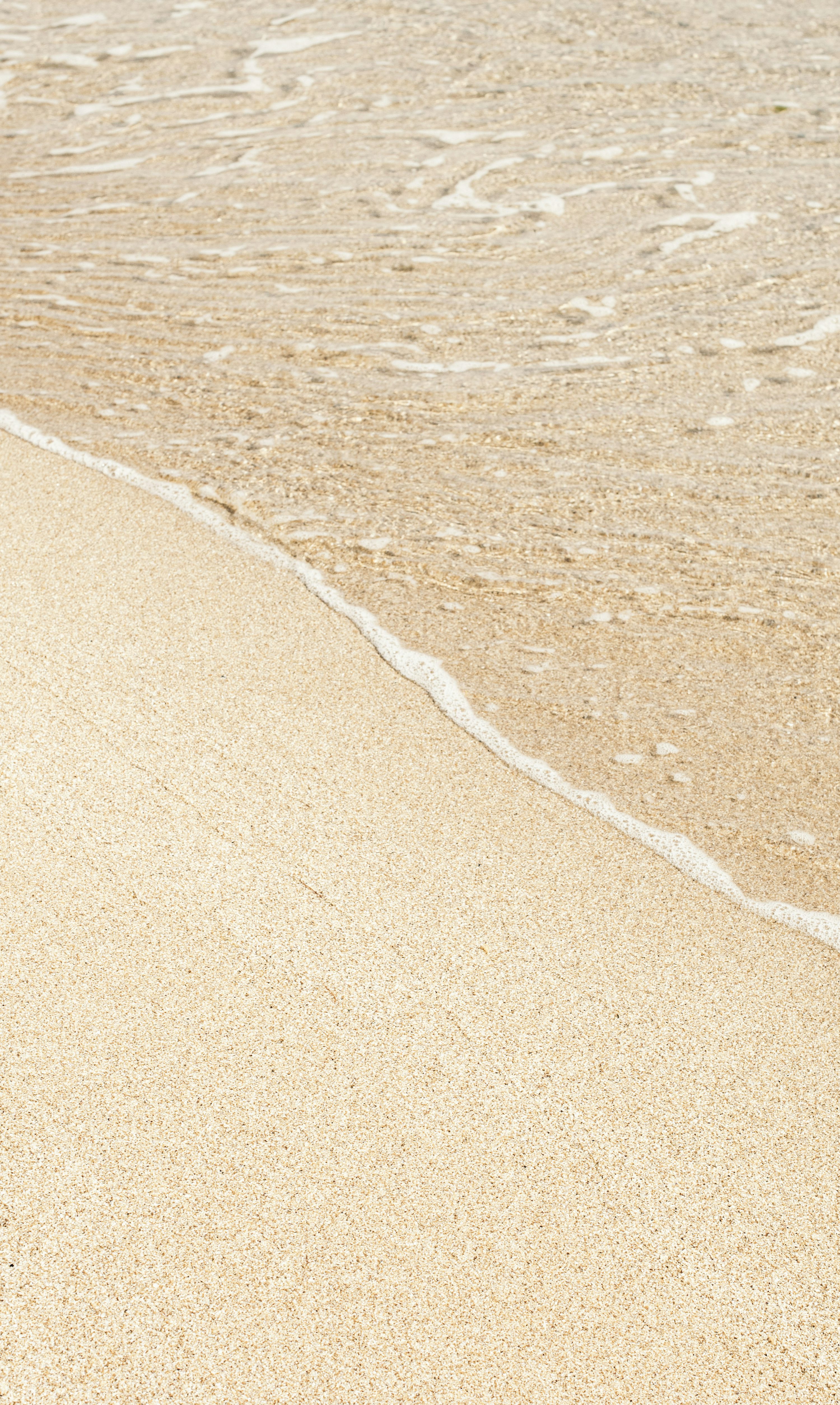 Beige Picture [HD]. Download Free Image