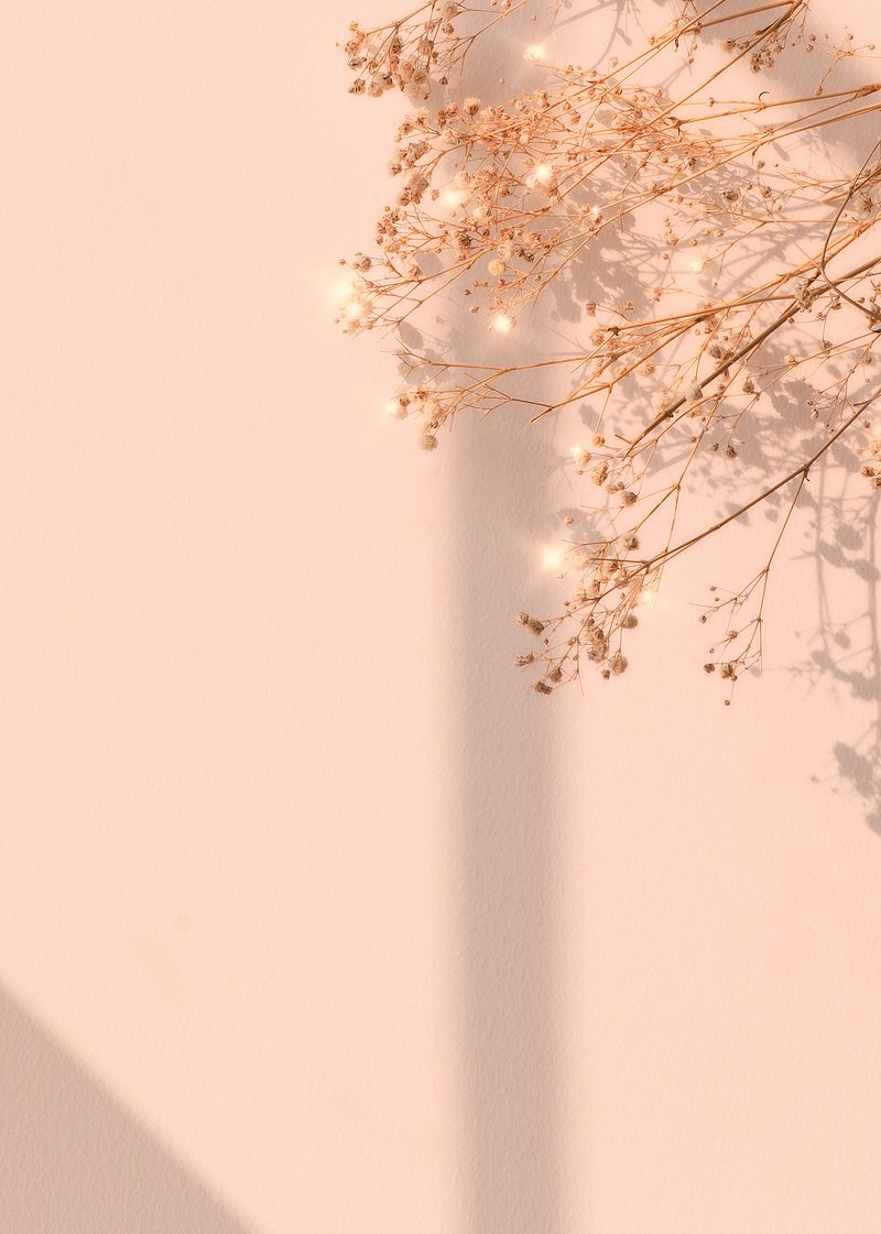 Beige Background Wallpaper