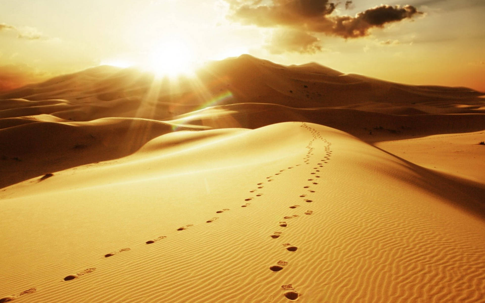 Download Footprint Desert Sun Wallpaper