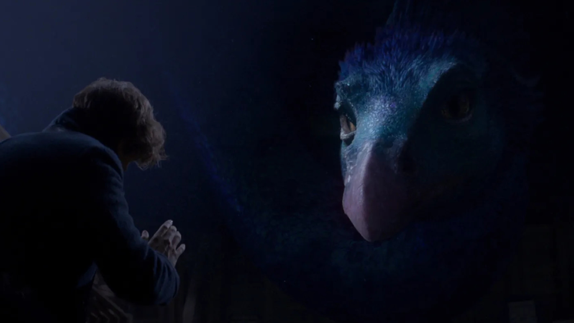 Occamy (Fantastic Beasts) Wallpaper