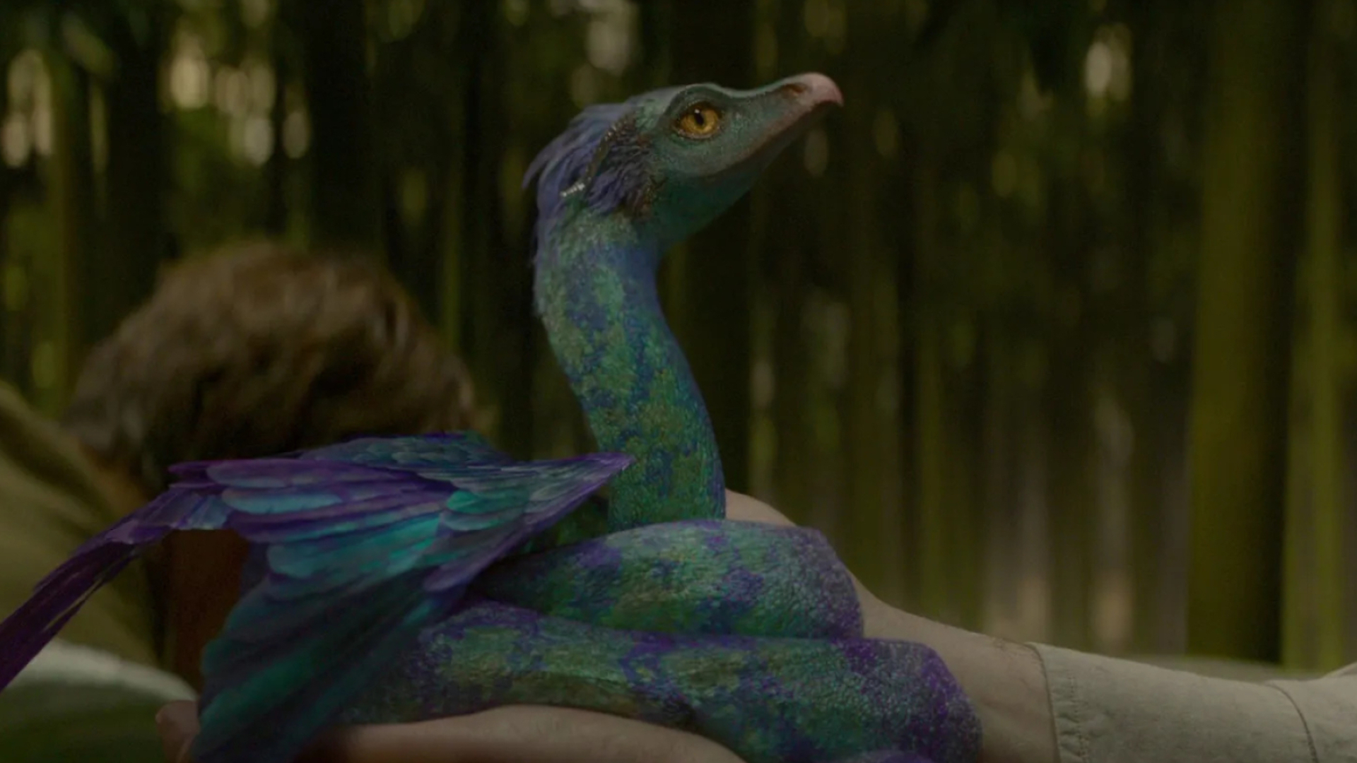 Occamy (Fantastic Beasts) Wallpaper