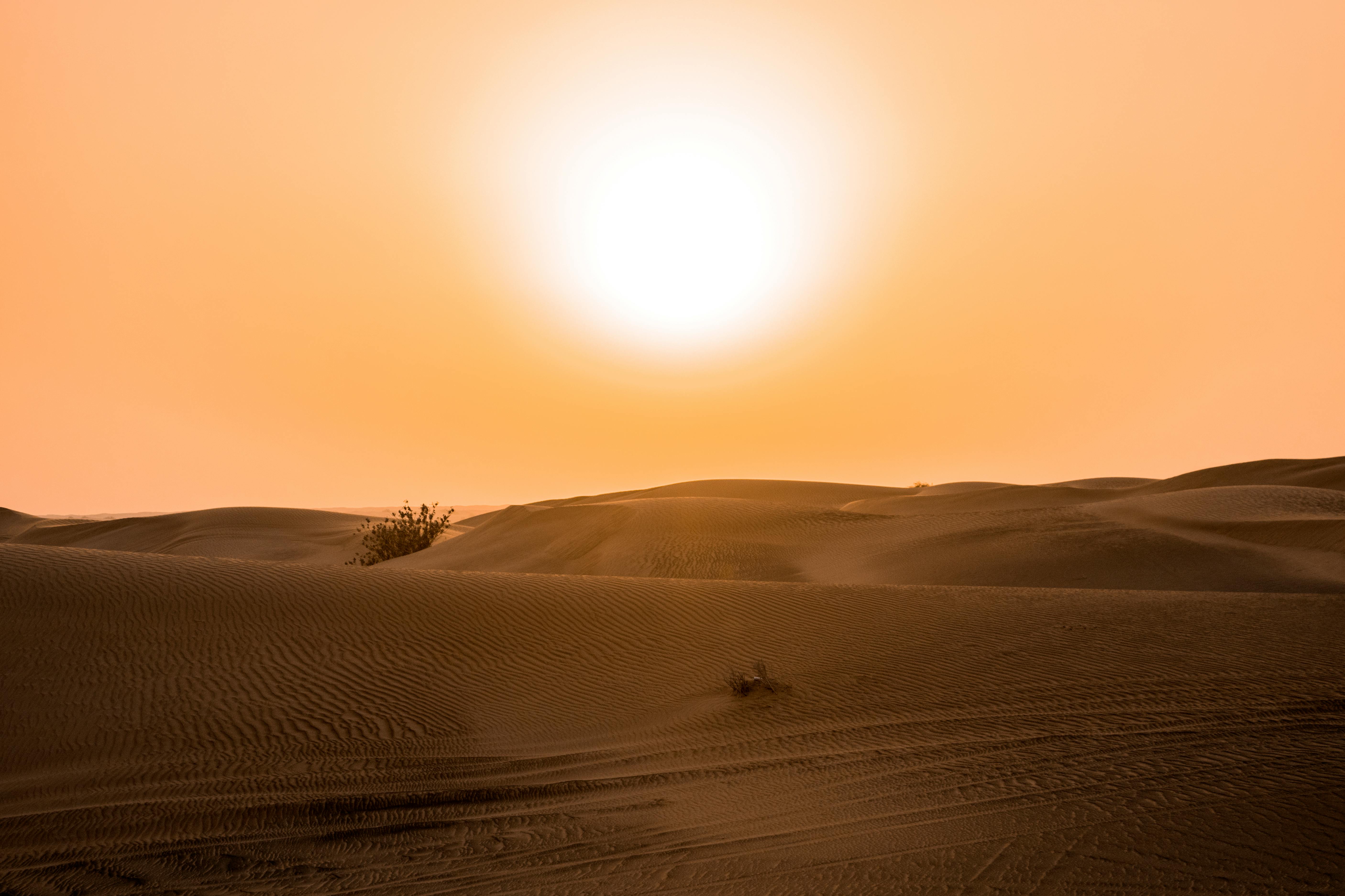 Desert Sun Photo, Download The BEST Free Desert Sun & HD Image