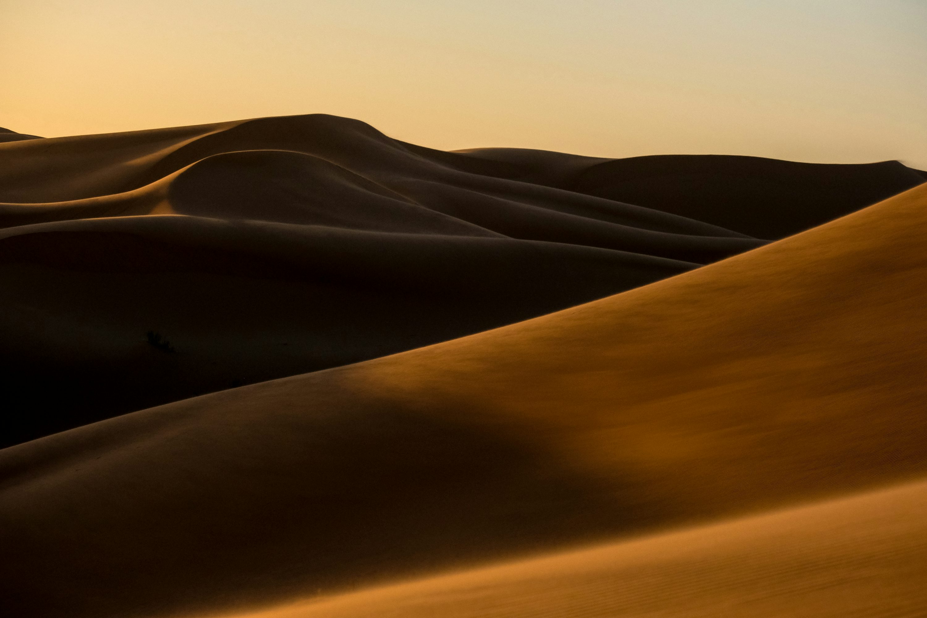 The sun is setting over a desert with sand dunes photo