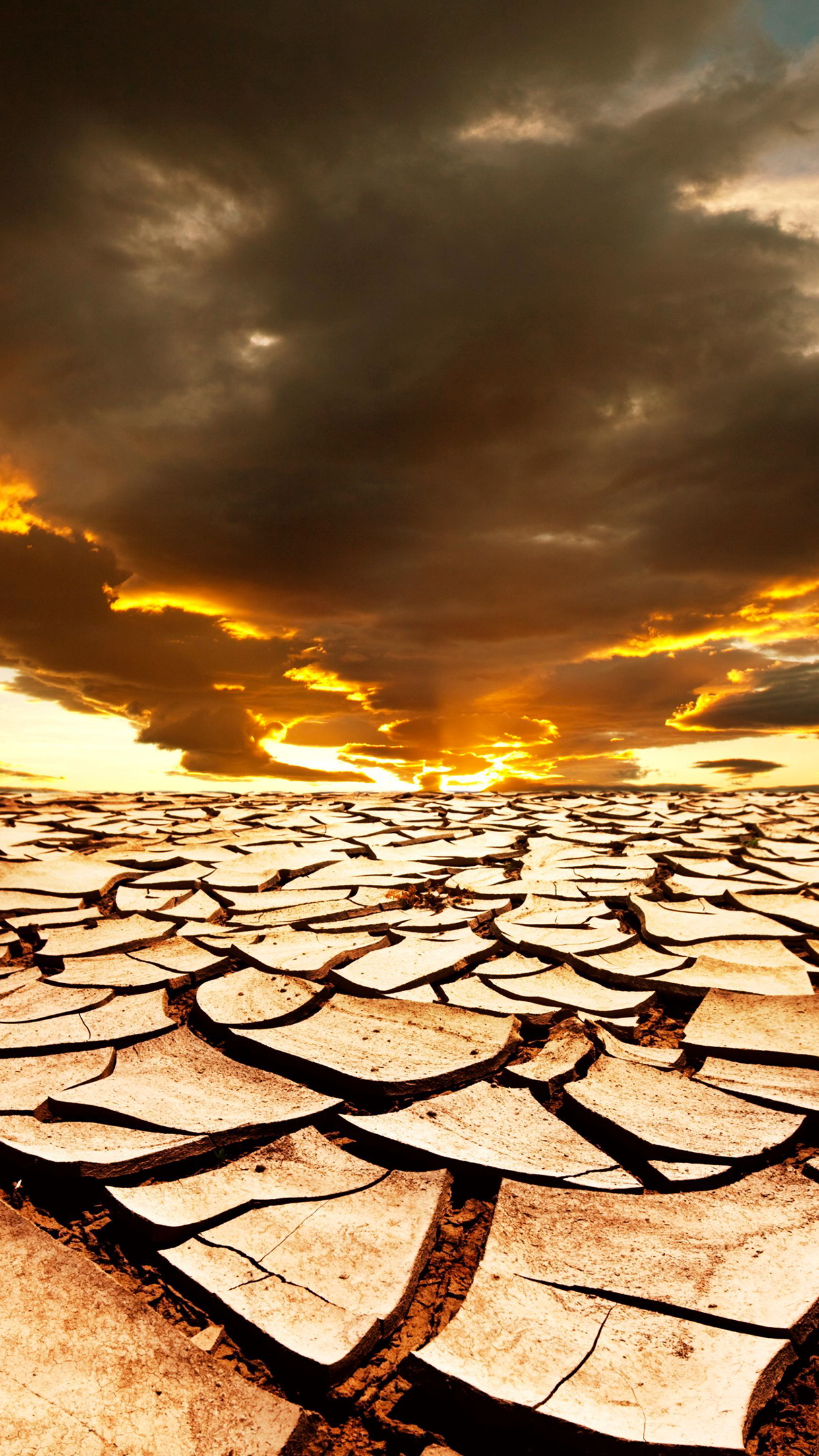 Desert Sun Wallpaper for iPhone 11, Pro Max, X, 8, 7, 6