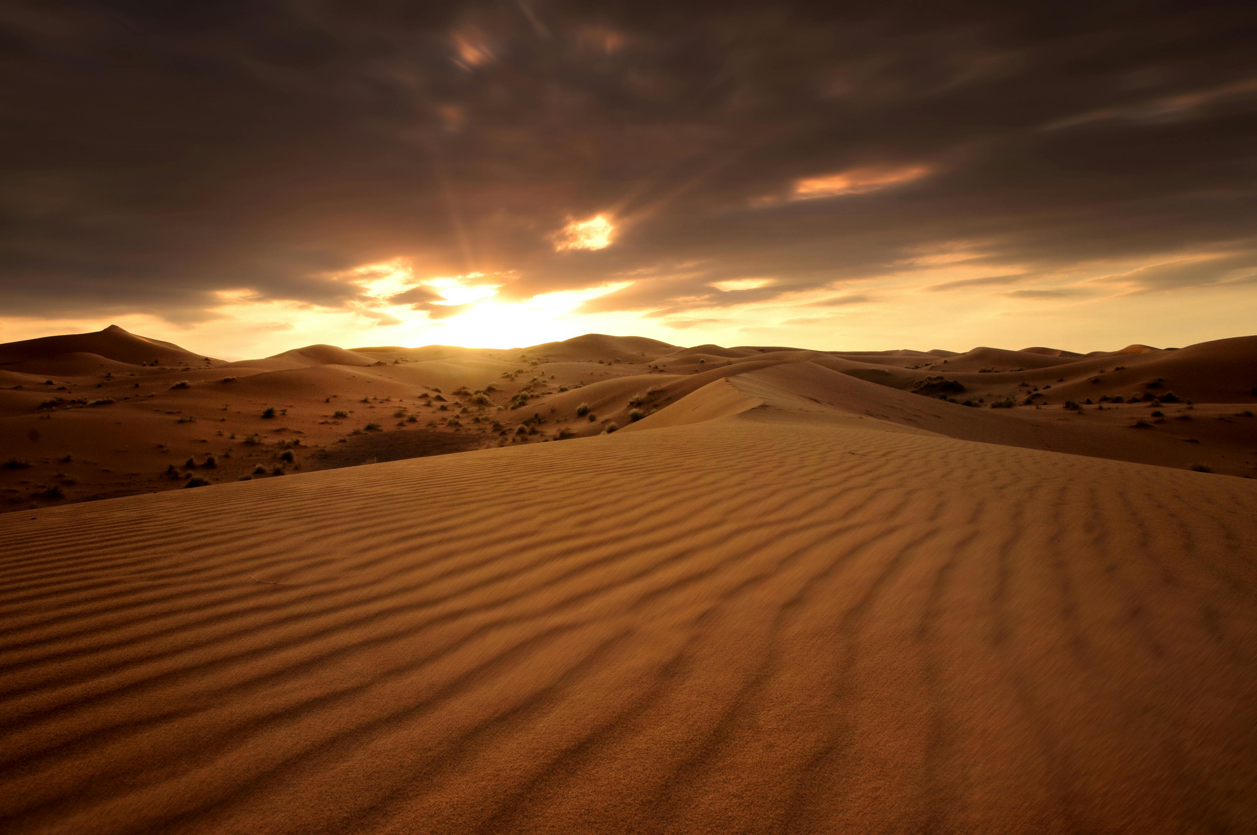 Sunset on a Desert · Free