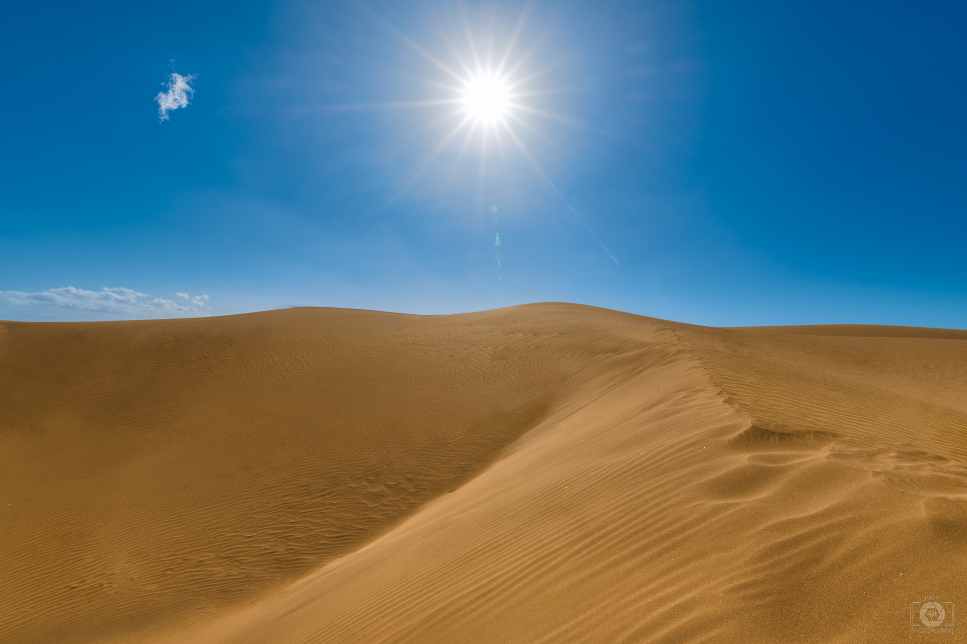 Sunny Desert Background Quality Free Background