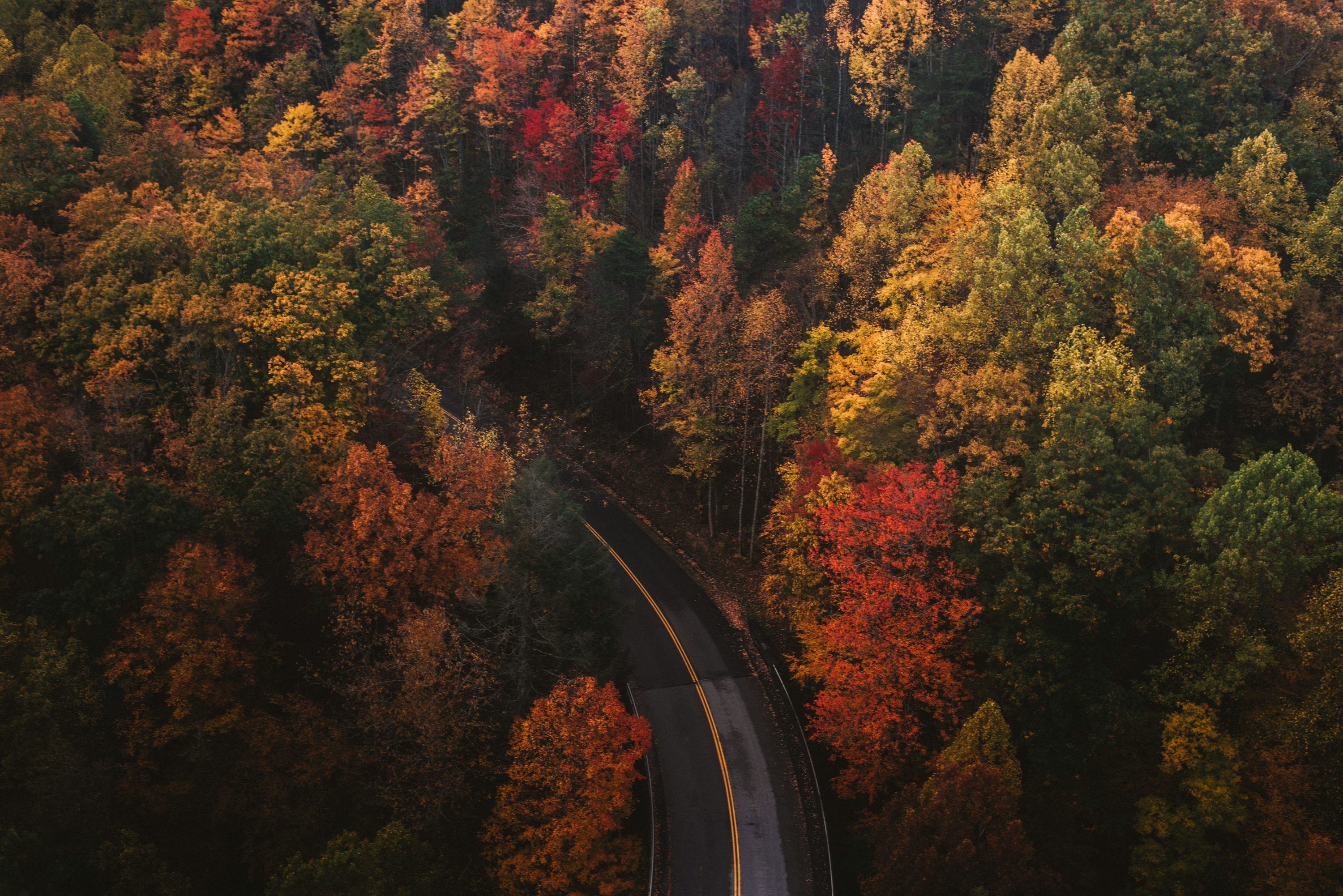 Fall Wallpaper: Free HD Download [4K]