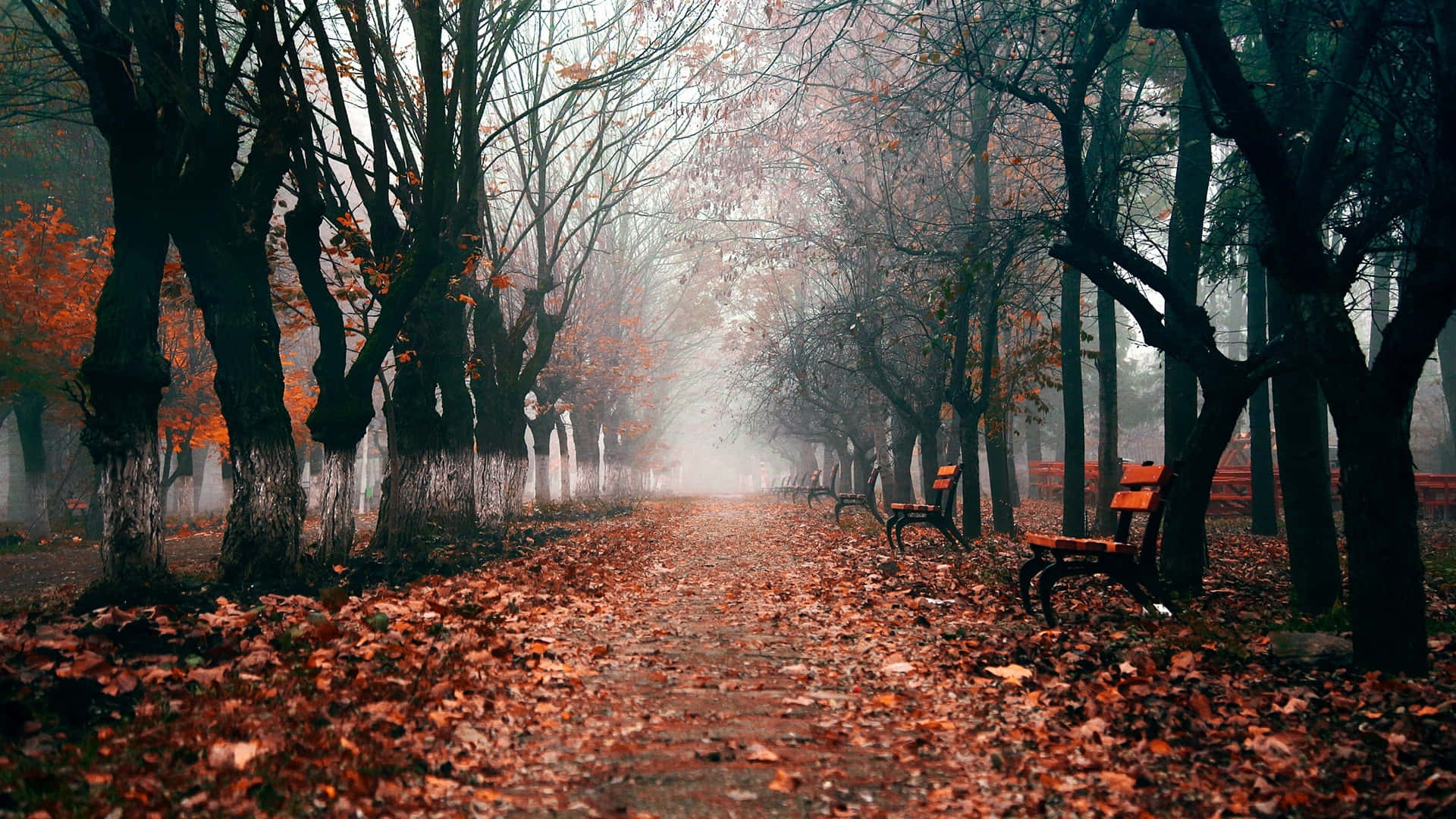 Fall Aesthetic Desktop Wallpaper