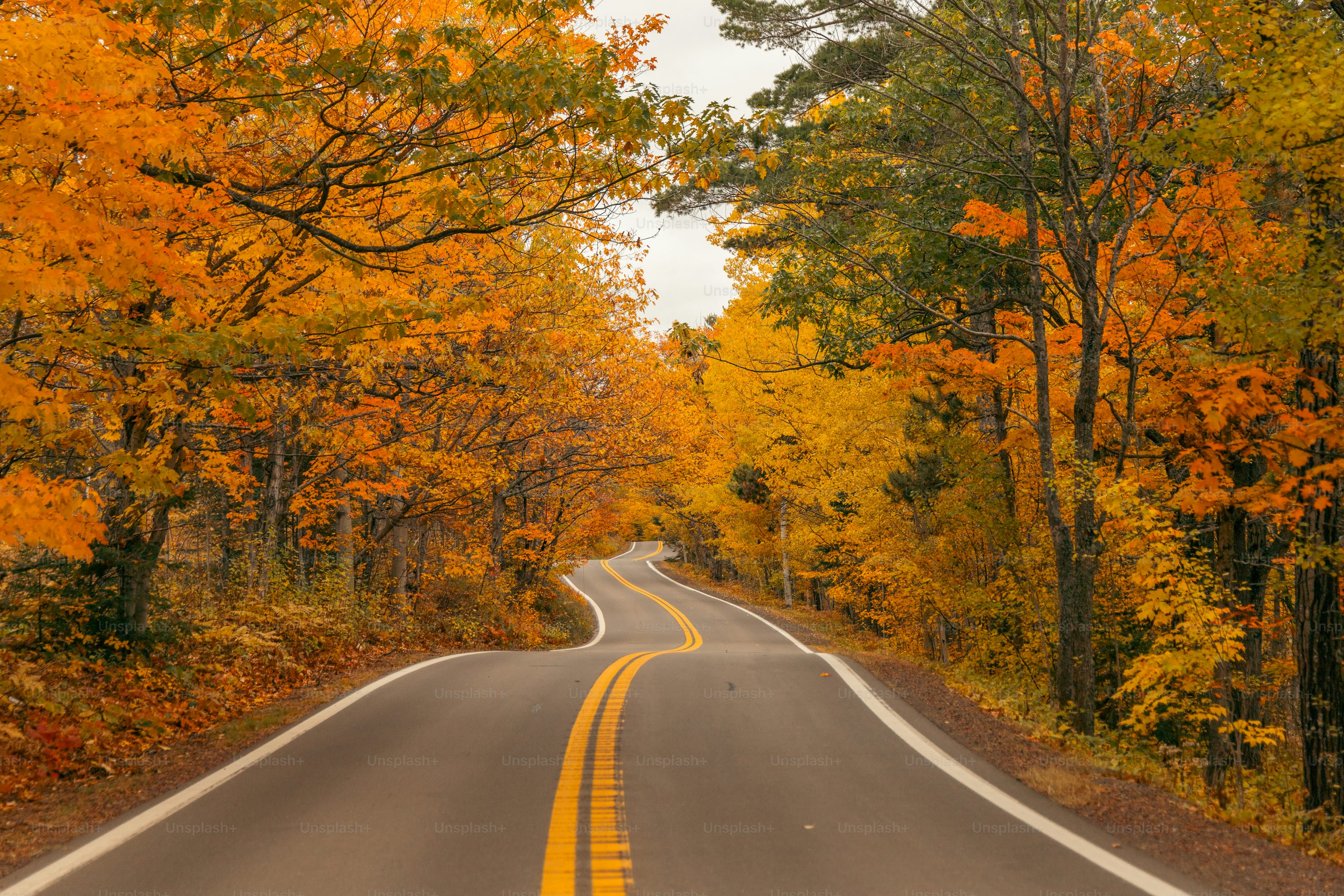 Fall Wallpaper: Free HD Download [4K]