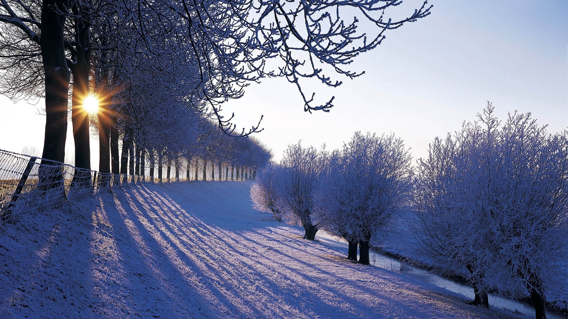 Cozy Winter Scenes Wallpaper