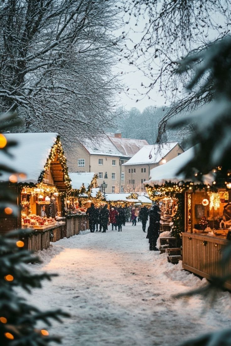Lets Go Get The Christmas Tree!. Christmas in germany, Christmas in europe, Christmas markets germany