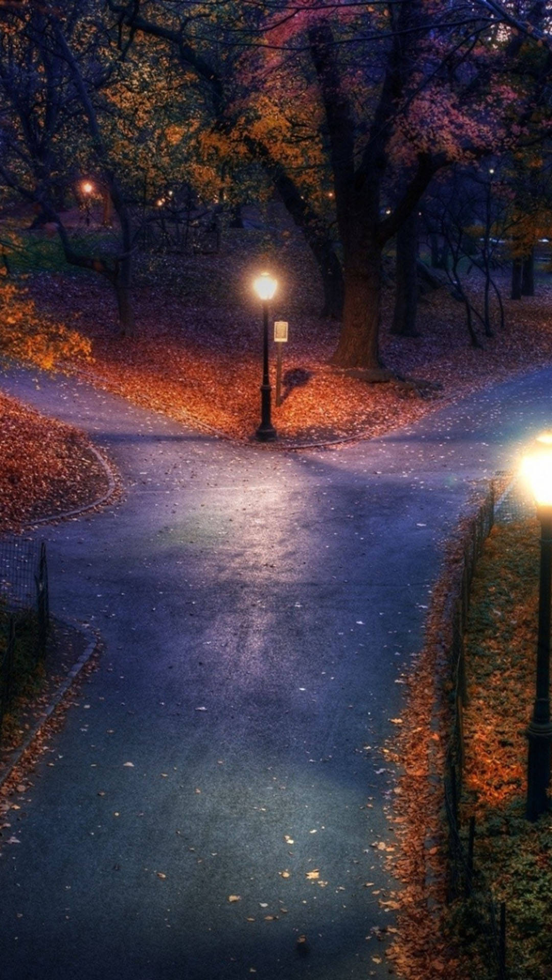 Download Autumn iPhone Central Park New York Wallpaper