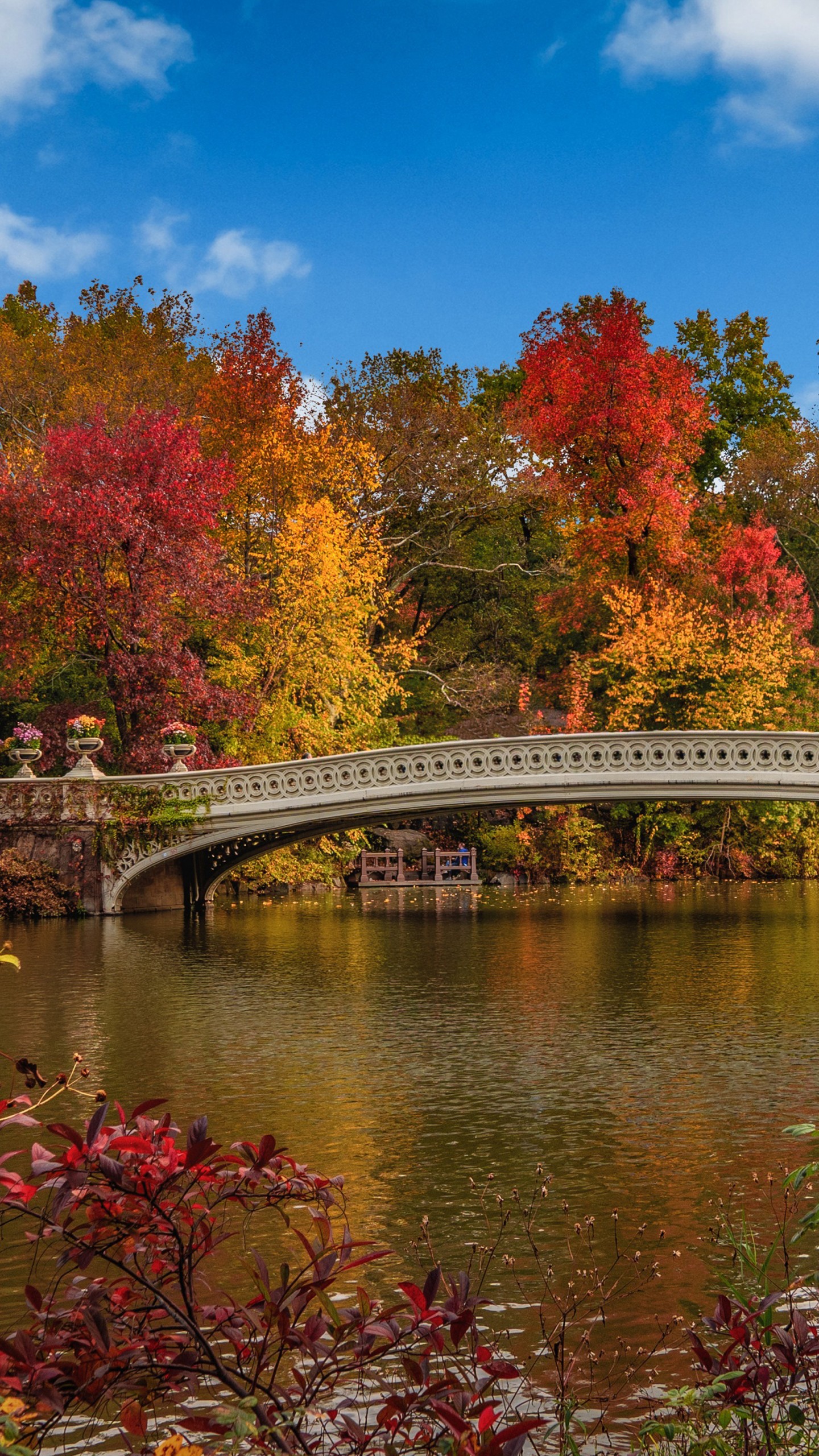 New York USA Central Park Bridge Under Blue Sky And Clouds During Fall 4K HD Nature Wallpaper