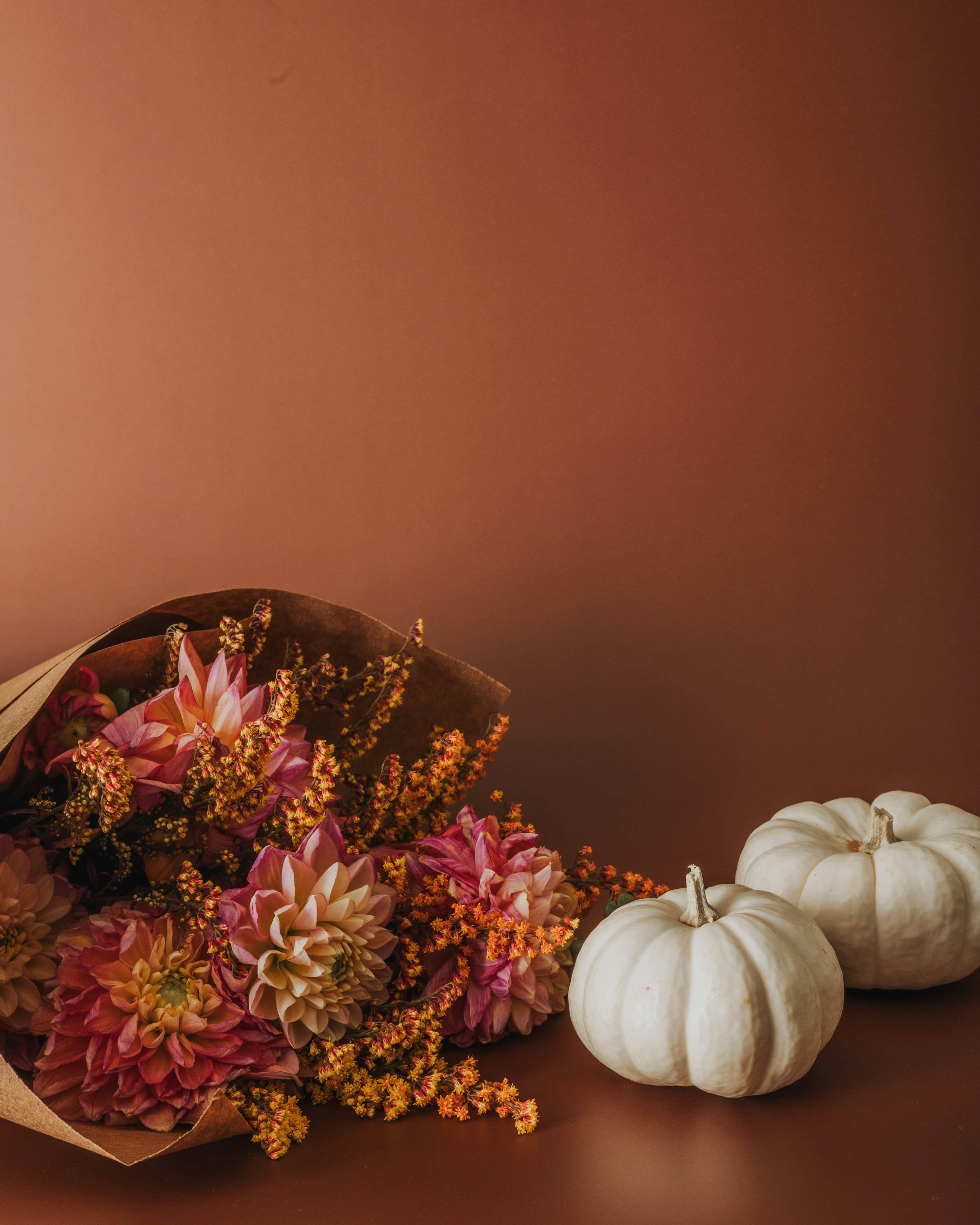 Fall Flowers Picture. Download Free Image