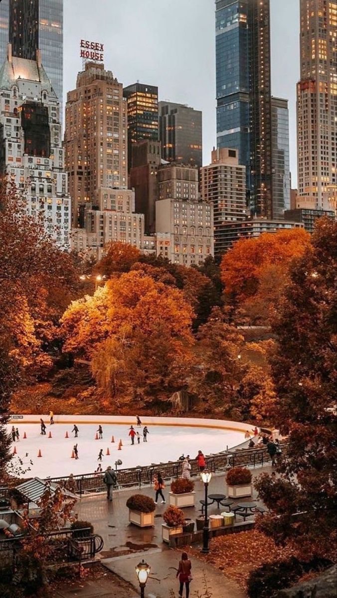 Nyc inspo. Autumn scenery, Travel aesthetic, Autumn in new york