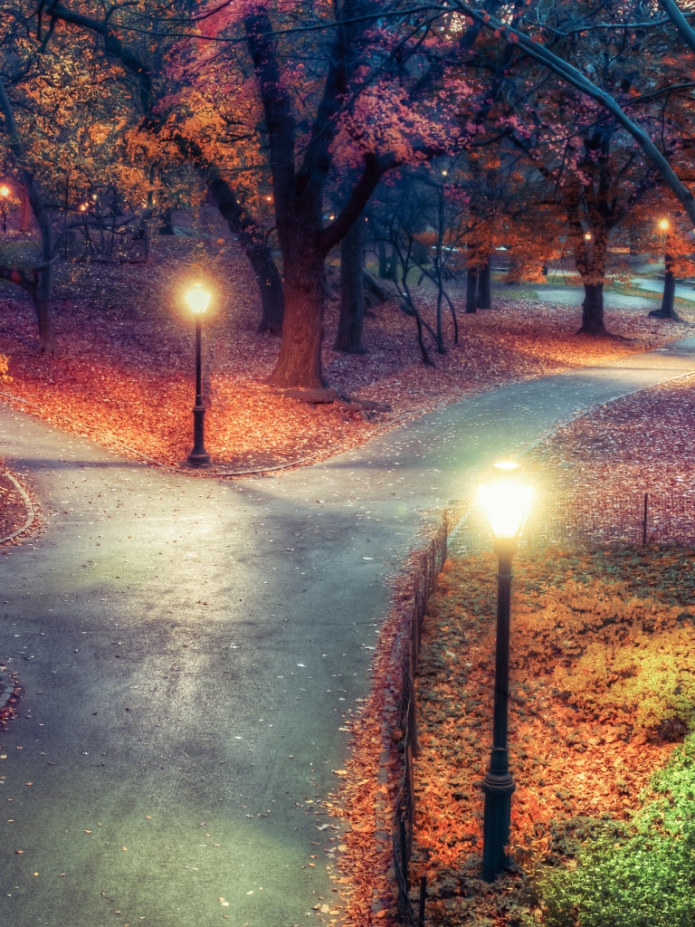 Central Park Wallpaper 4K, New York City, Autumn leaves
