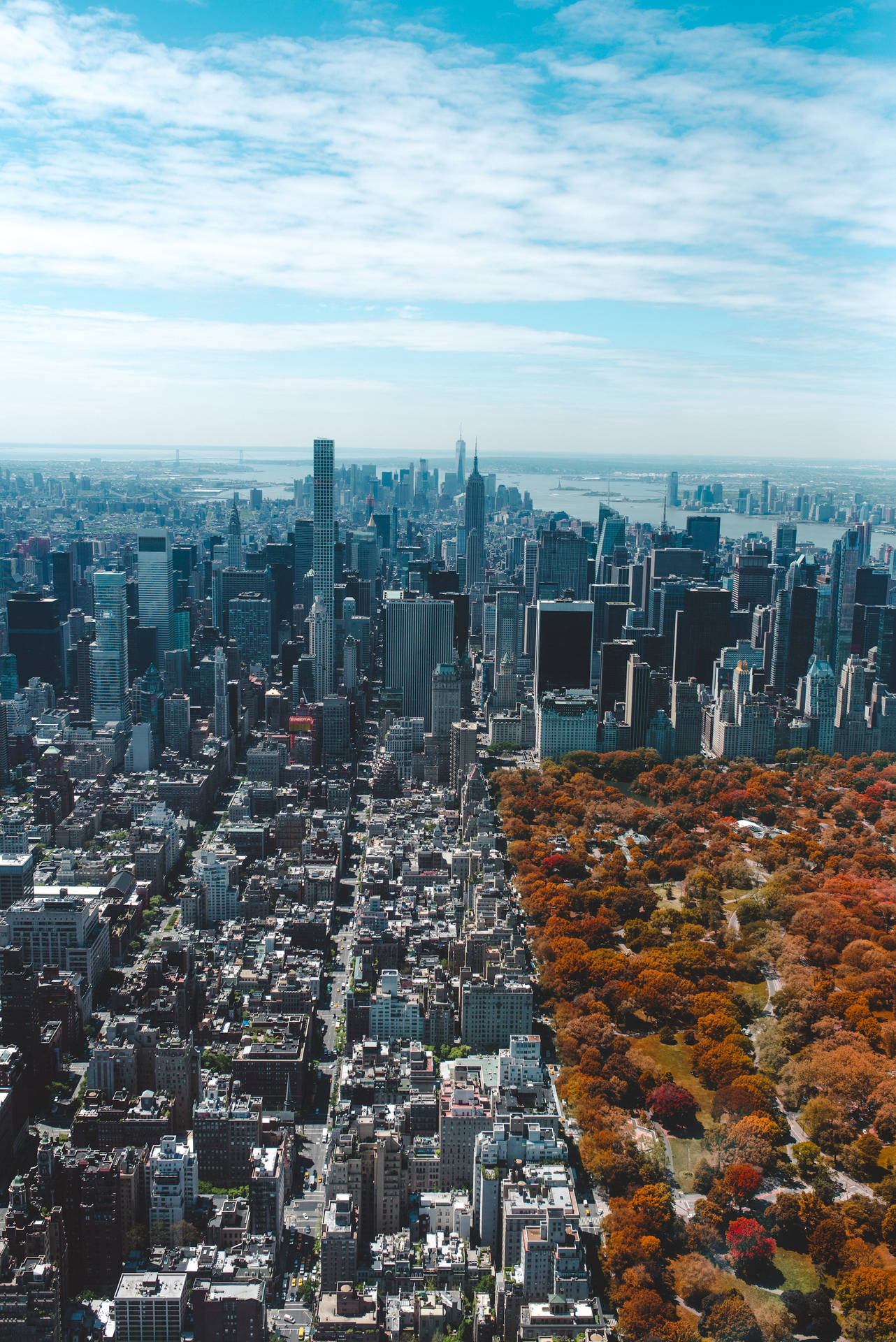 Download City Buildings VS Nature Central Park Wallpaper