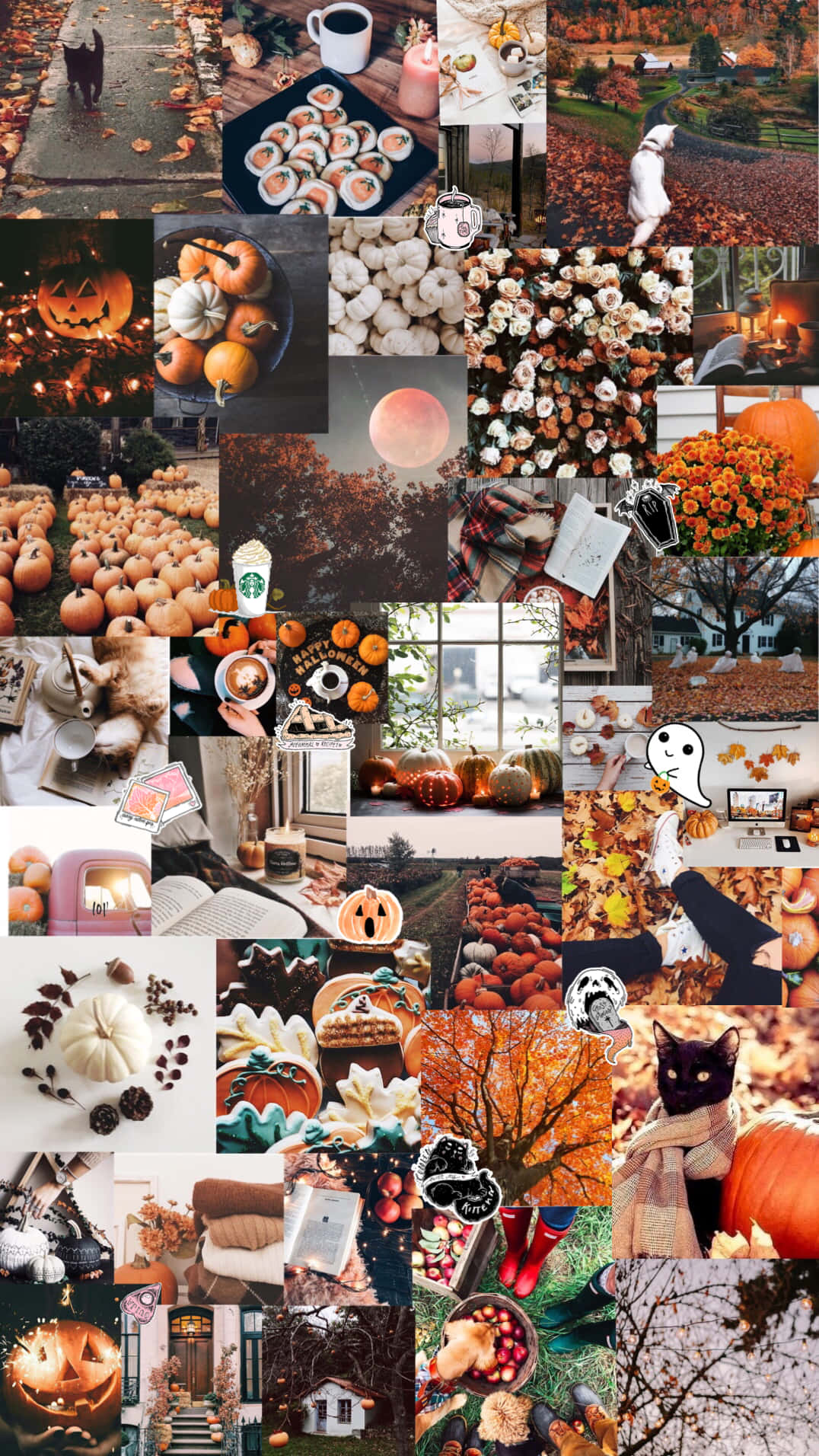 Download Autumn Halloween Aesthetic Collage Wallpaper