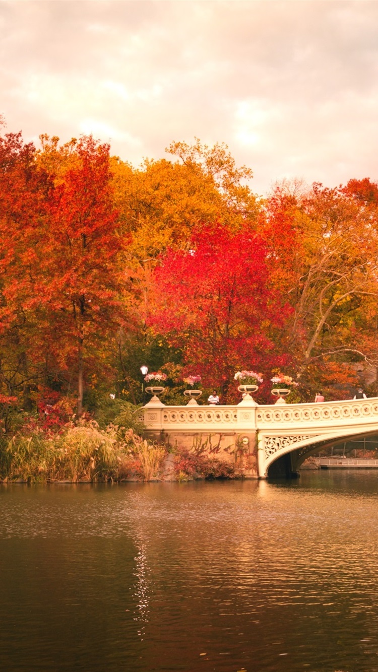 Central Park, Boats, Bridge, Trees, Red Leaves, Autumn, USA 750x1334 IPhone 8 7 6 6S Wallpaper, Background, Picture, Image