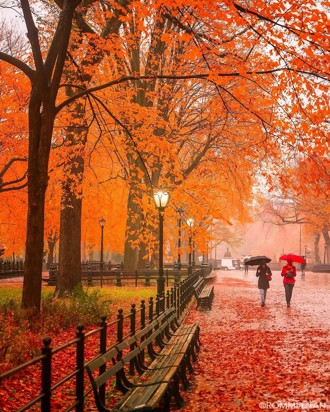 Autumn morning rain at the Mall in Central Park, Manhattan, New York City