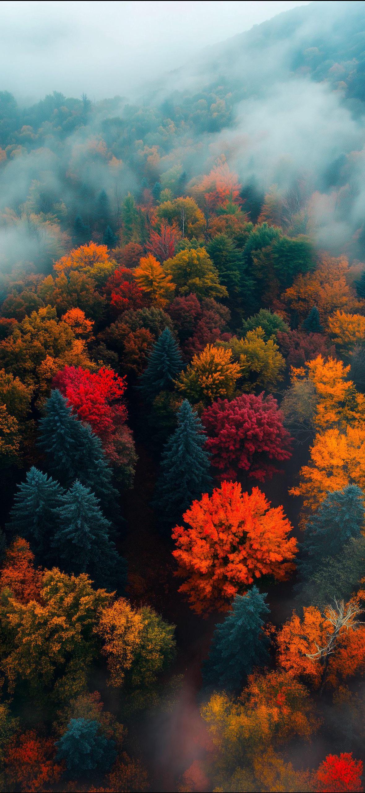 iOS 26 Autumn wallpaper