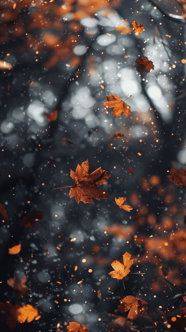 Stunning And Dreamy Fall Phone Wallpaper. Autumn phone wallpaper, Cute fall wallpaper, Fall